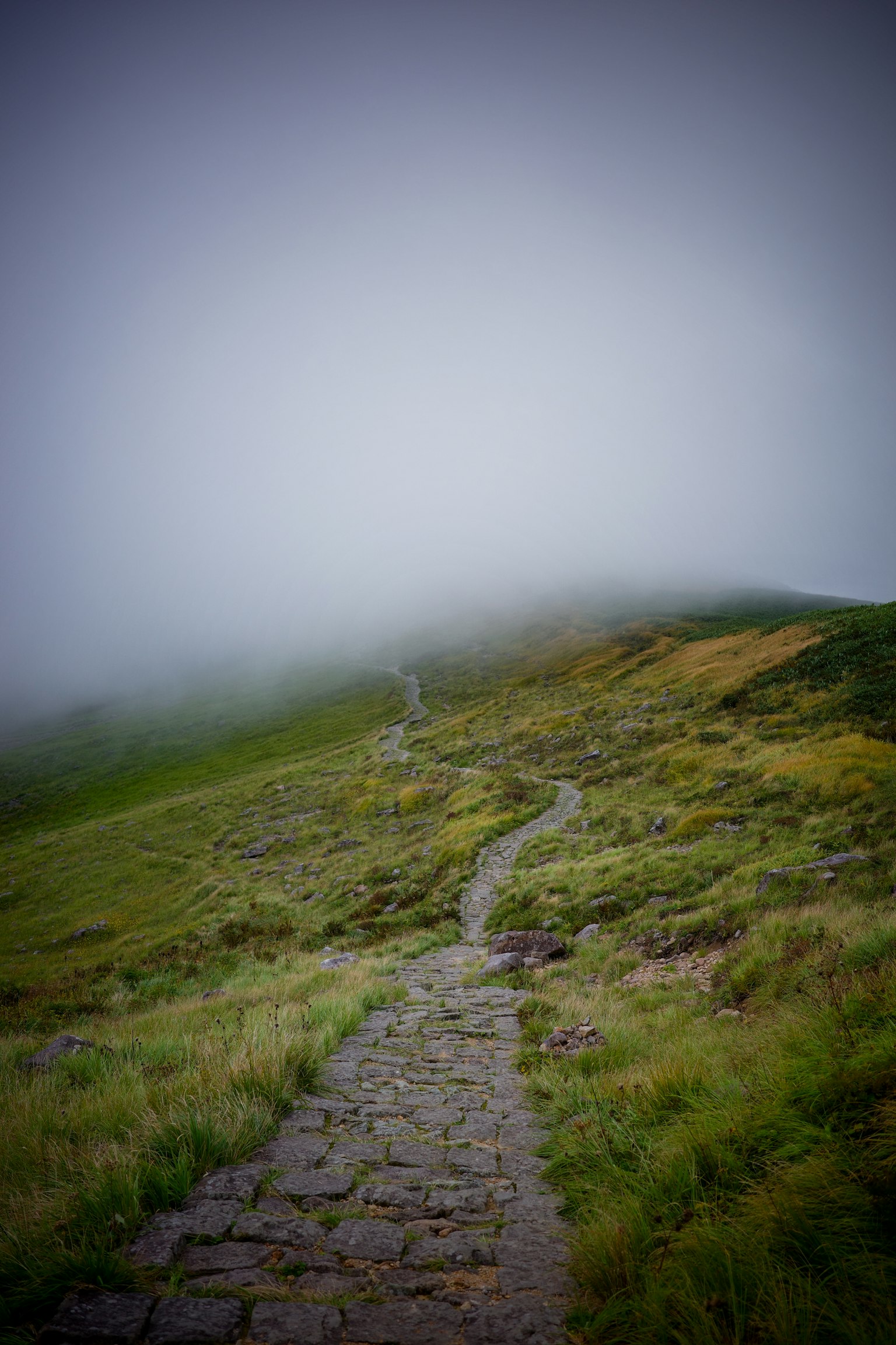 Ein nebliger Bergweg, der sich durch grüne Wiesen und einen Steinweg schlängelt