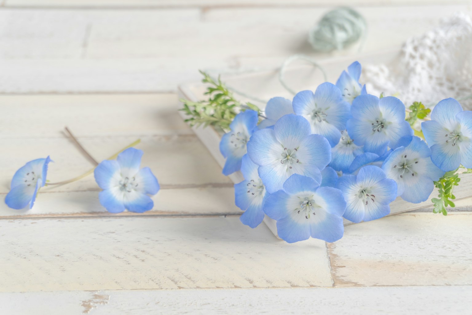 Un arreglo sereno de flores azules con hojas verdes sobre una superficie de madera clara