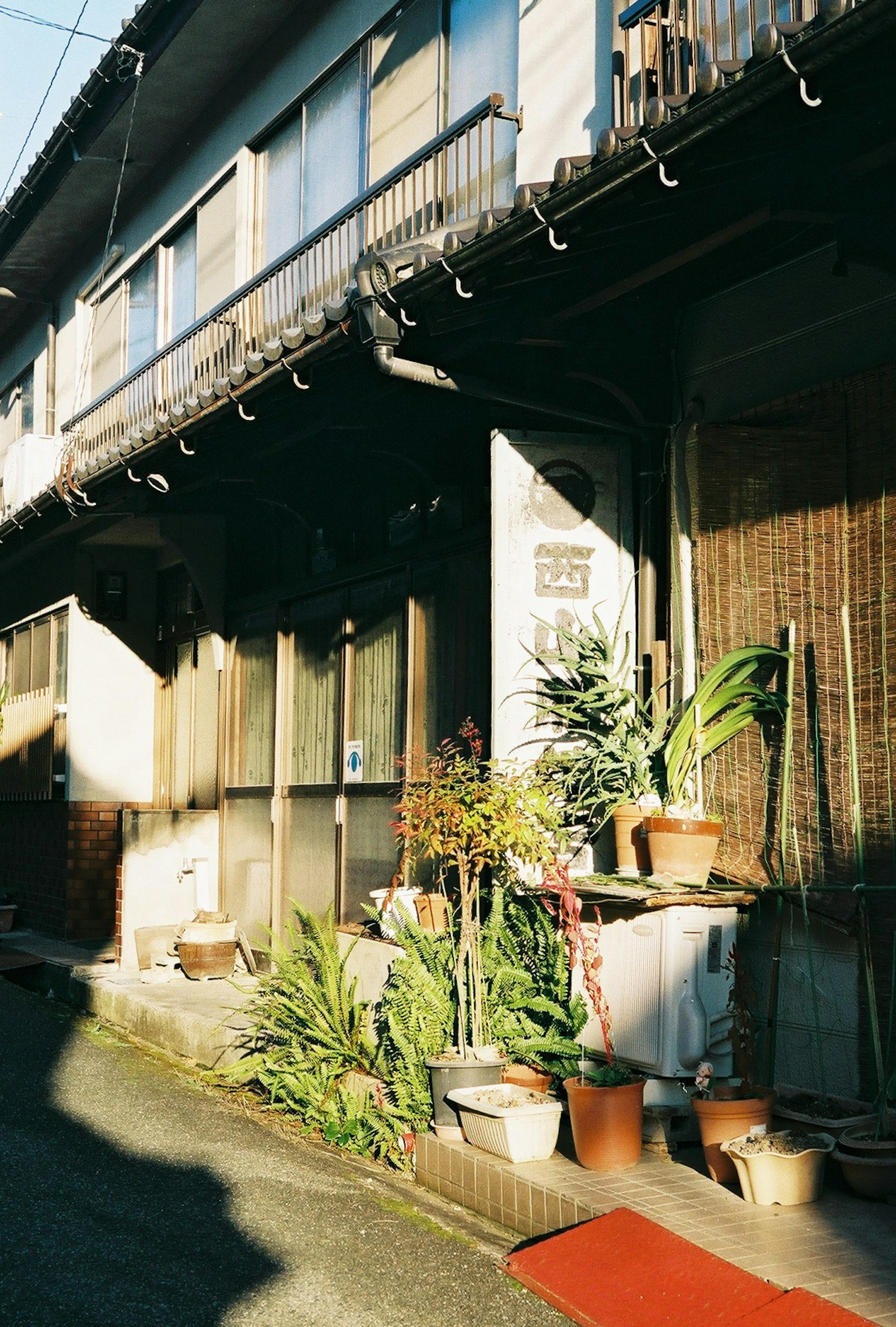 Exterior of an old Japanese house with green plants at the entrance