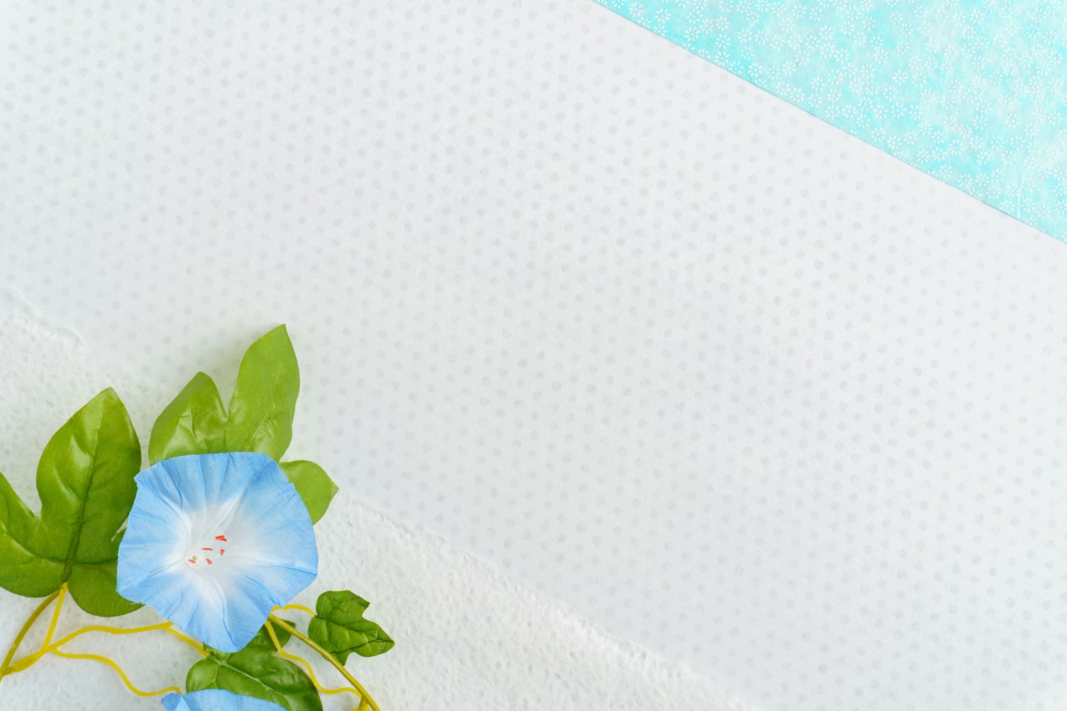 Imagen con flores azules y hojas verdes sobre un fondo blanco