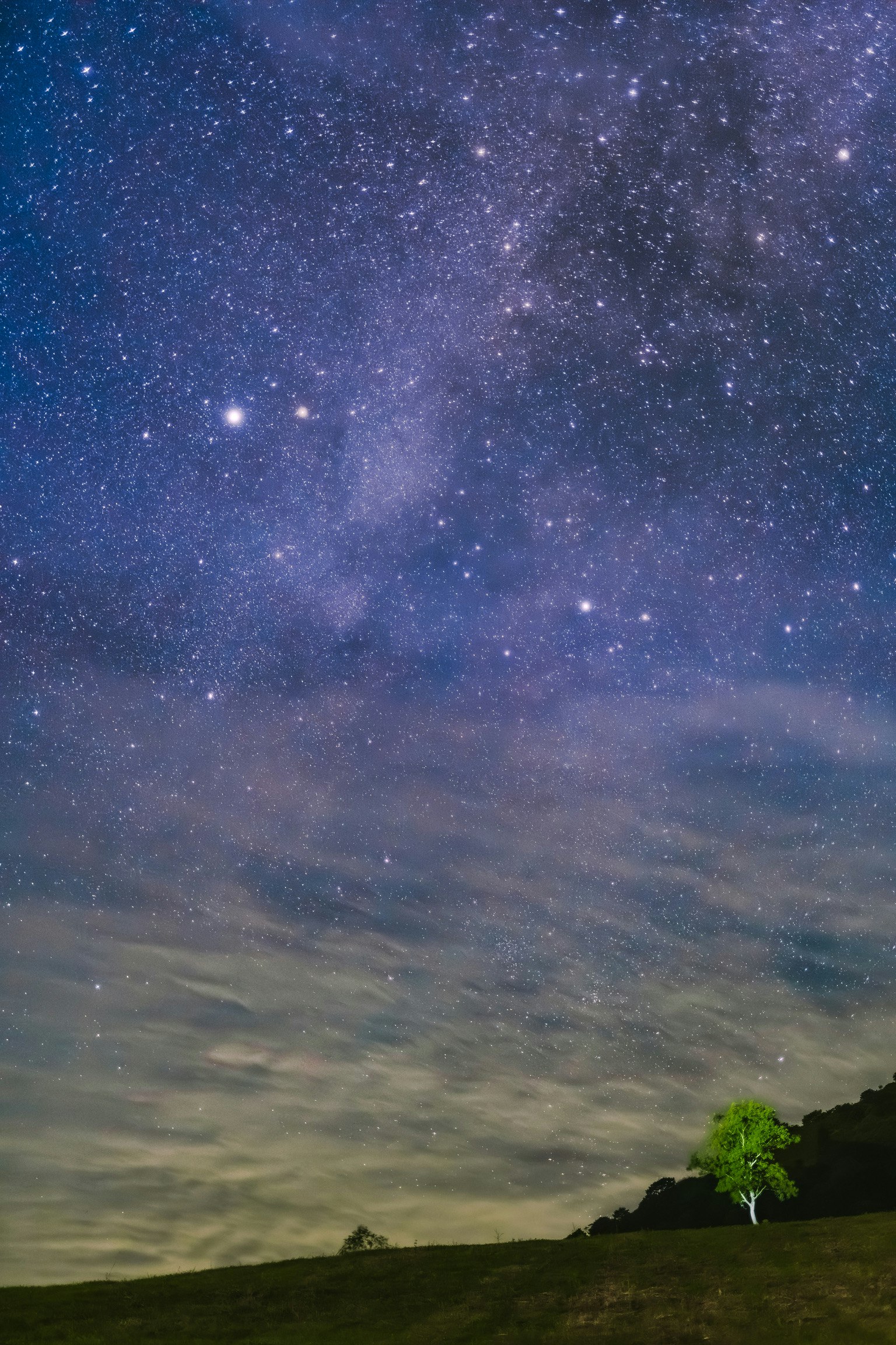 星空と天の川が広がる夜の草原の風景