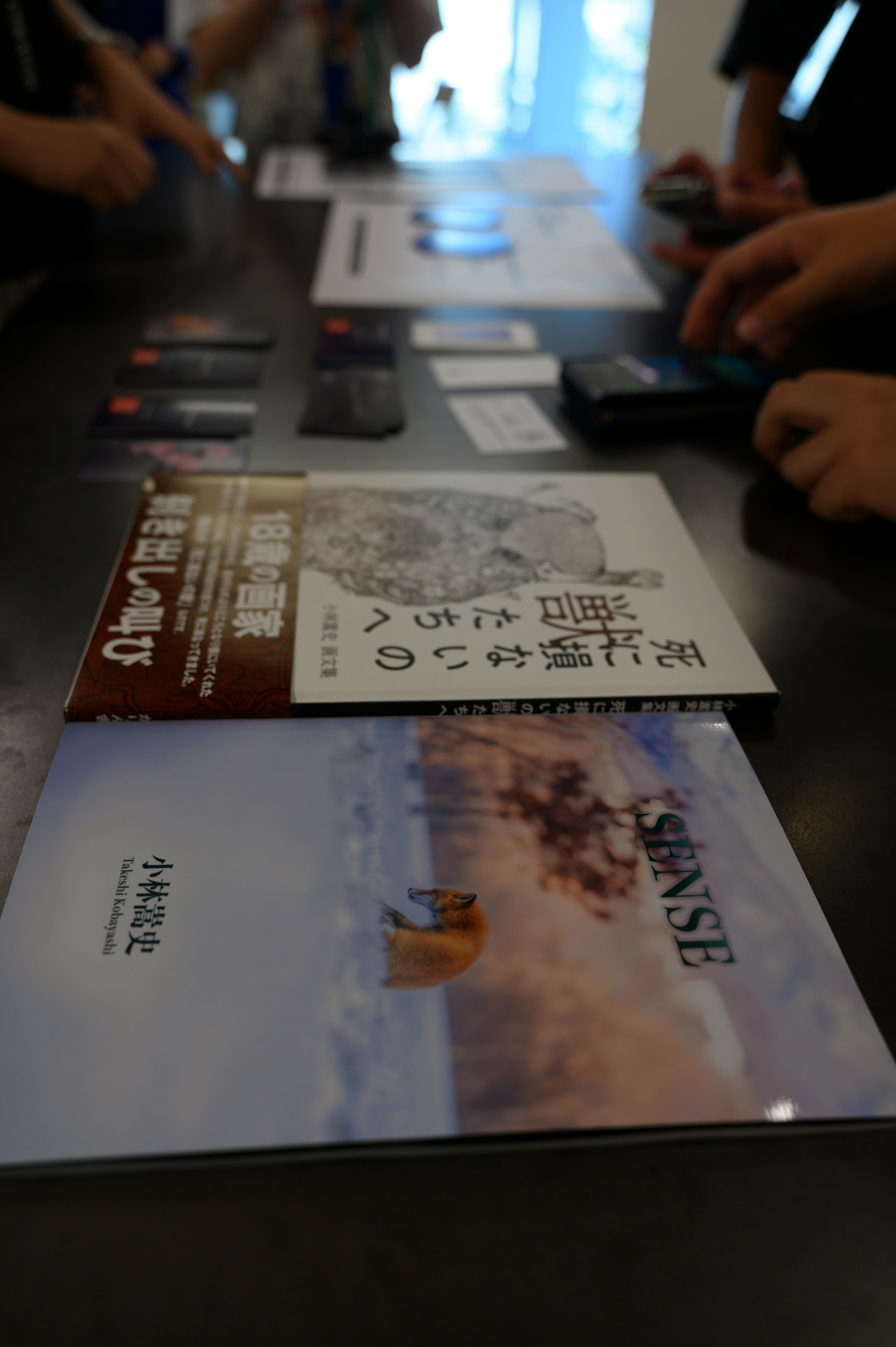 bàn bày sách và tờ rơi trong cửa hàng ở Sapporo