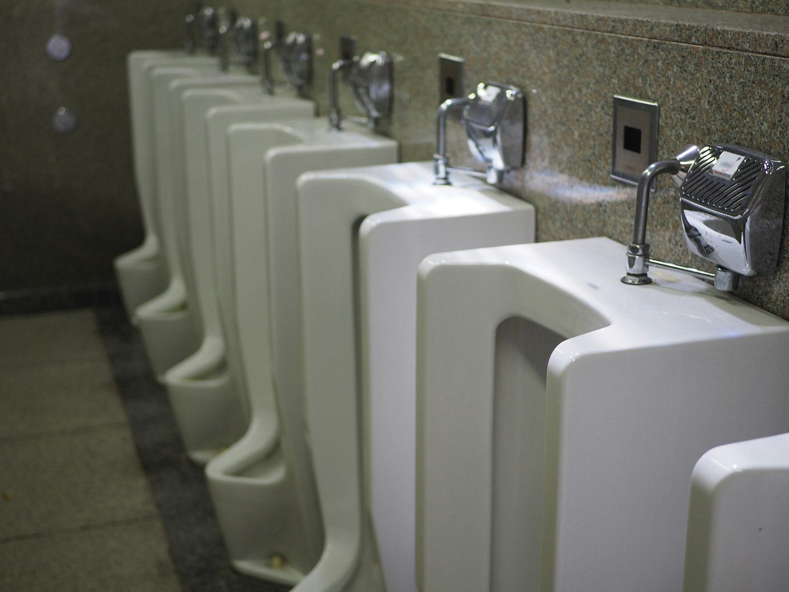 Innenansicht einer Toilette mit weißen Urinalen in Reihe