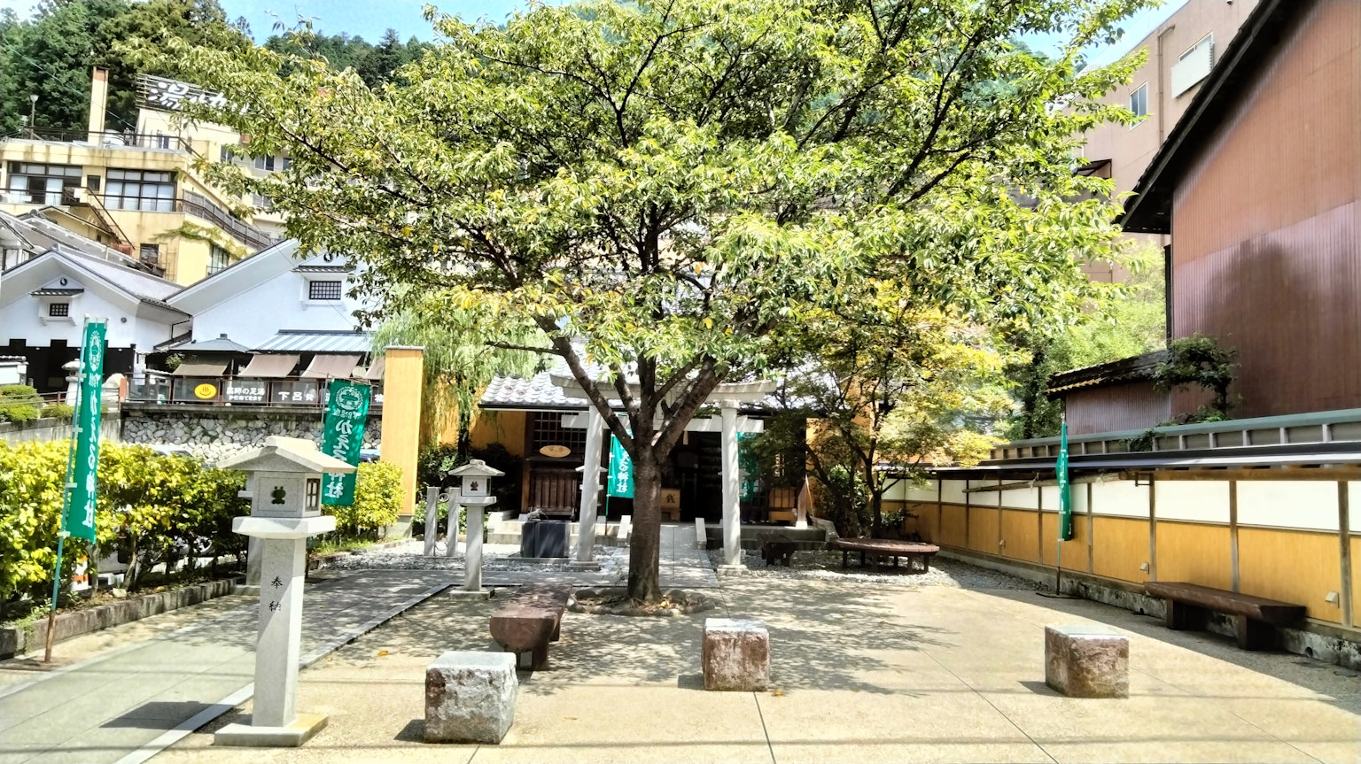Taman luas dengan pohon besar dan bangku batu