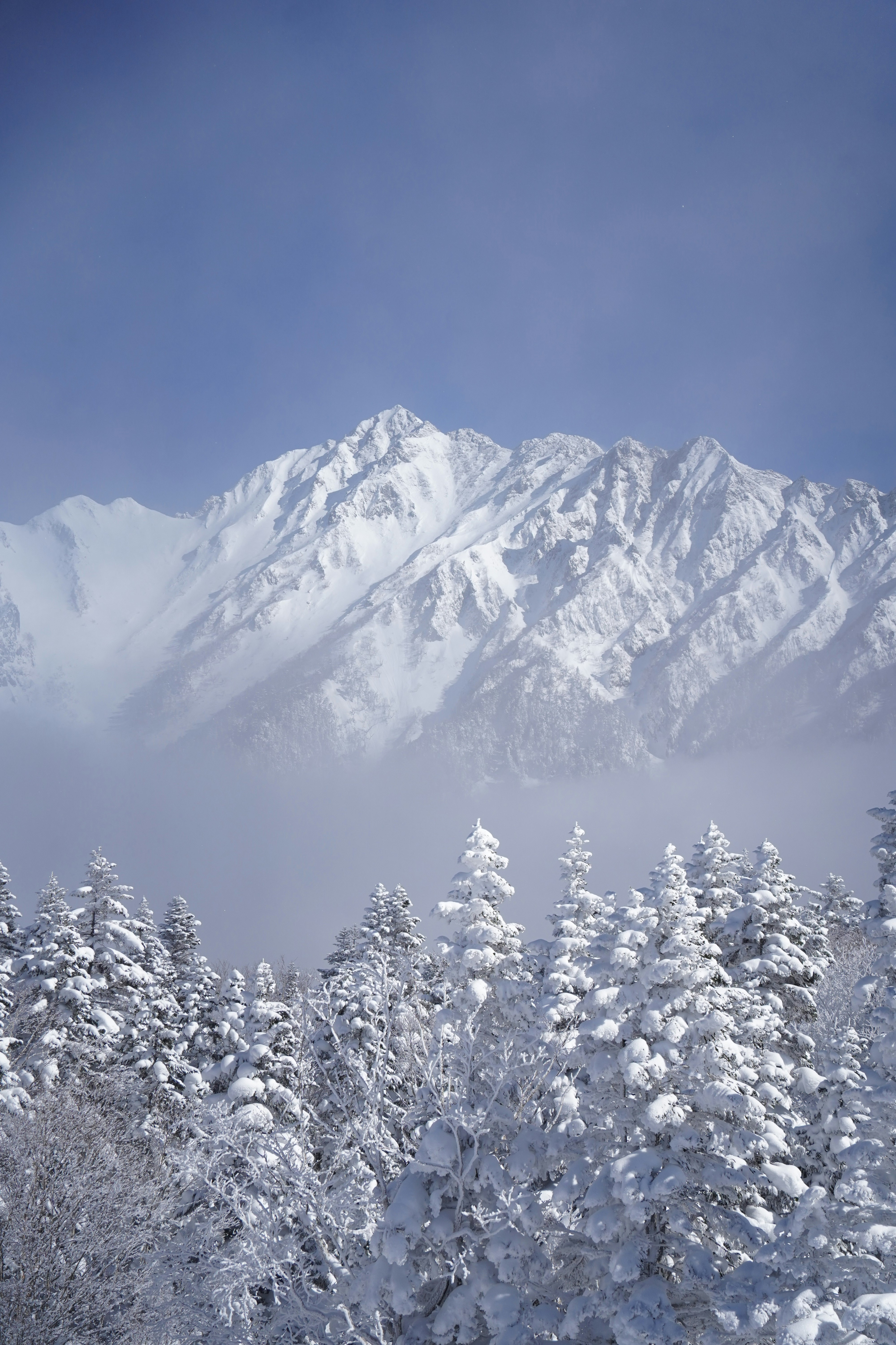 雪の森と白い山並みの静かな景色