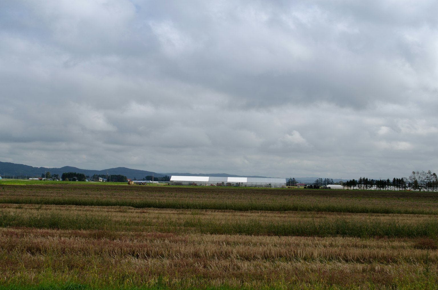 Ampio paesaggio rurale con edifici industriali sotto un cielo nuvoloso