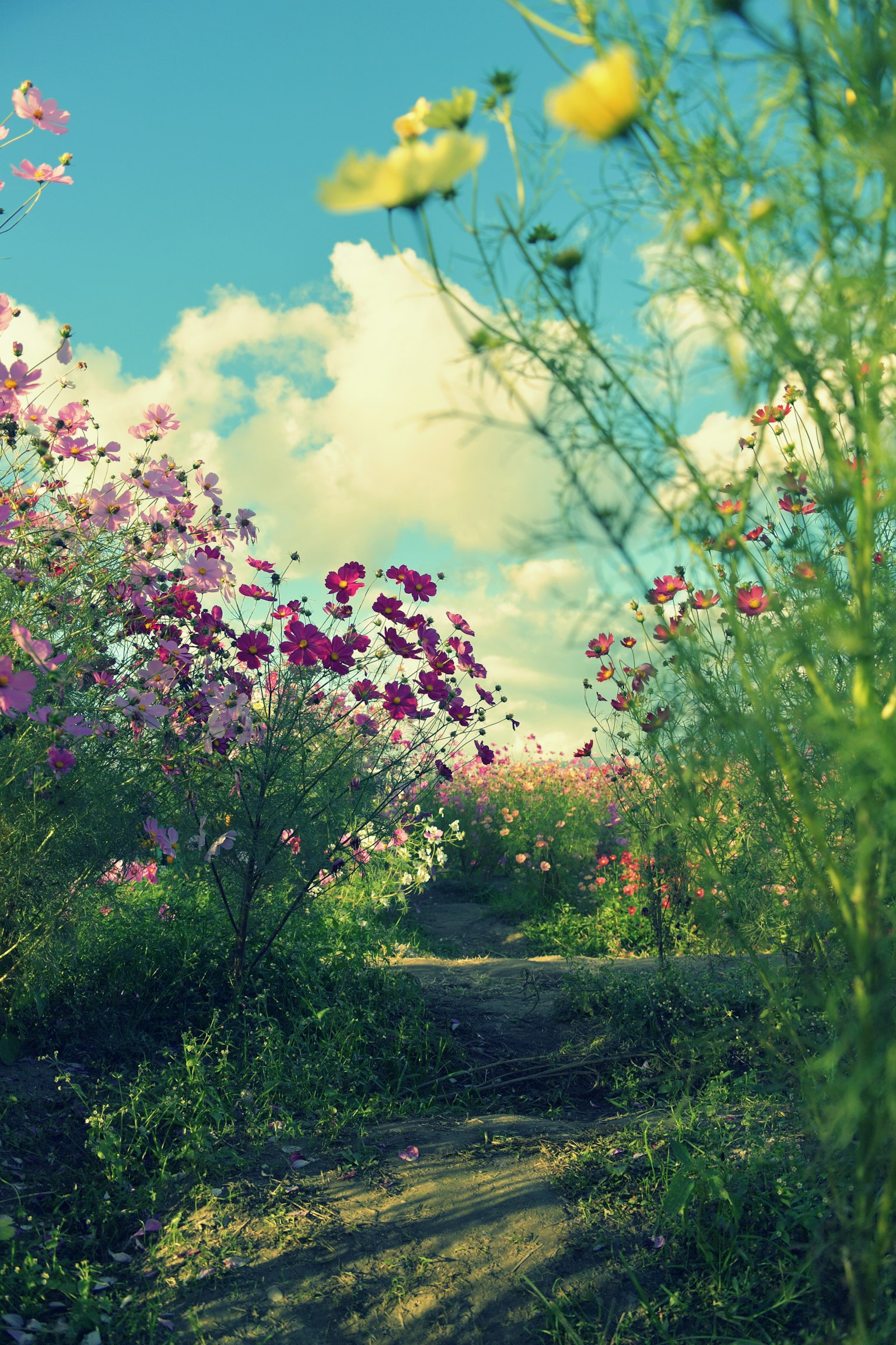 photo-mZrq3TZQJufrWt3Vur7O-image