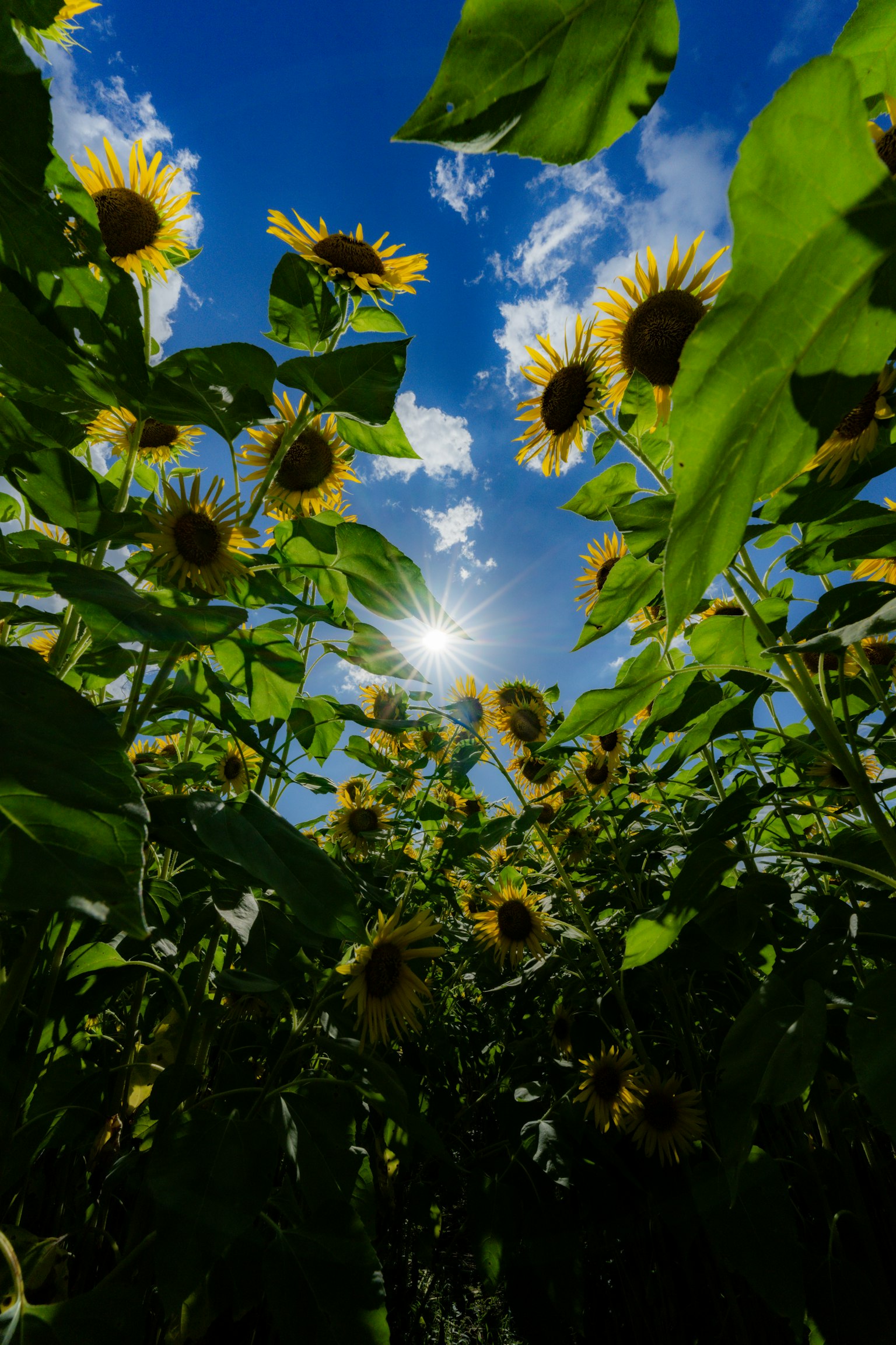 photo-masDt0bswq5qlEnL2OeC-image