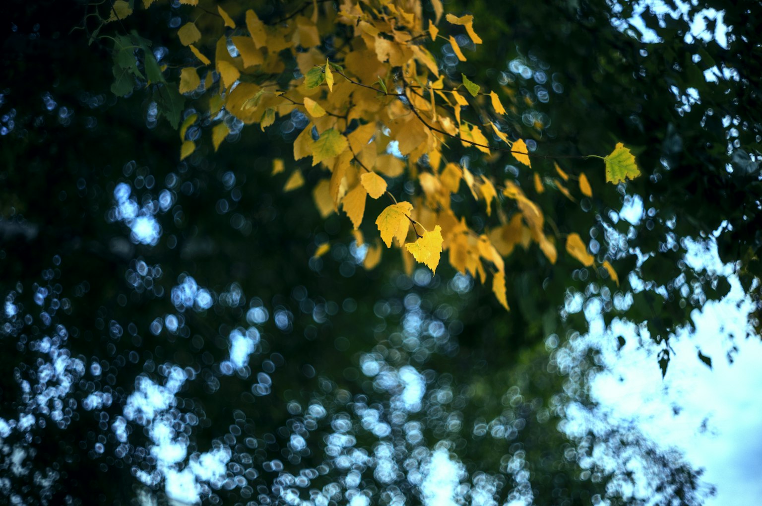 photo-mb9qHcV0rJfUzvsqBpT5-image