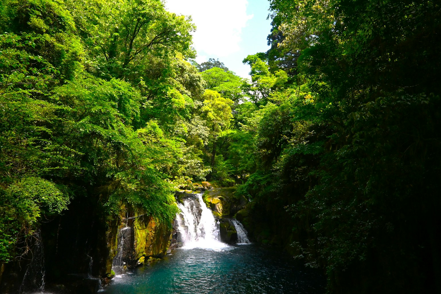 Air terjun yang indah dikelilingi hutan hijau subur dan air biru jernih
