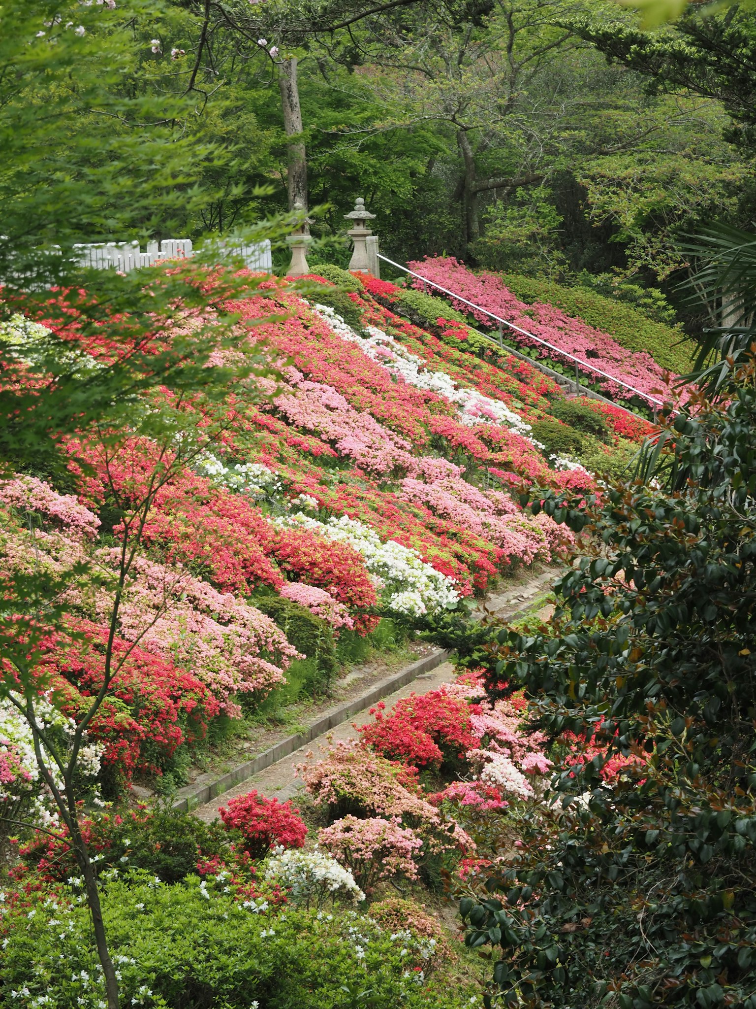 Beautiful garden landscape with colorful blooming flowers