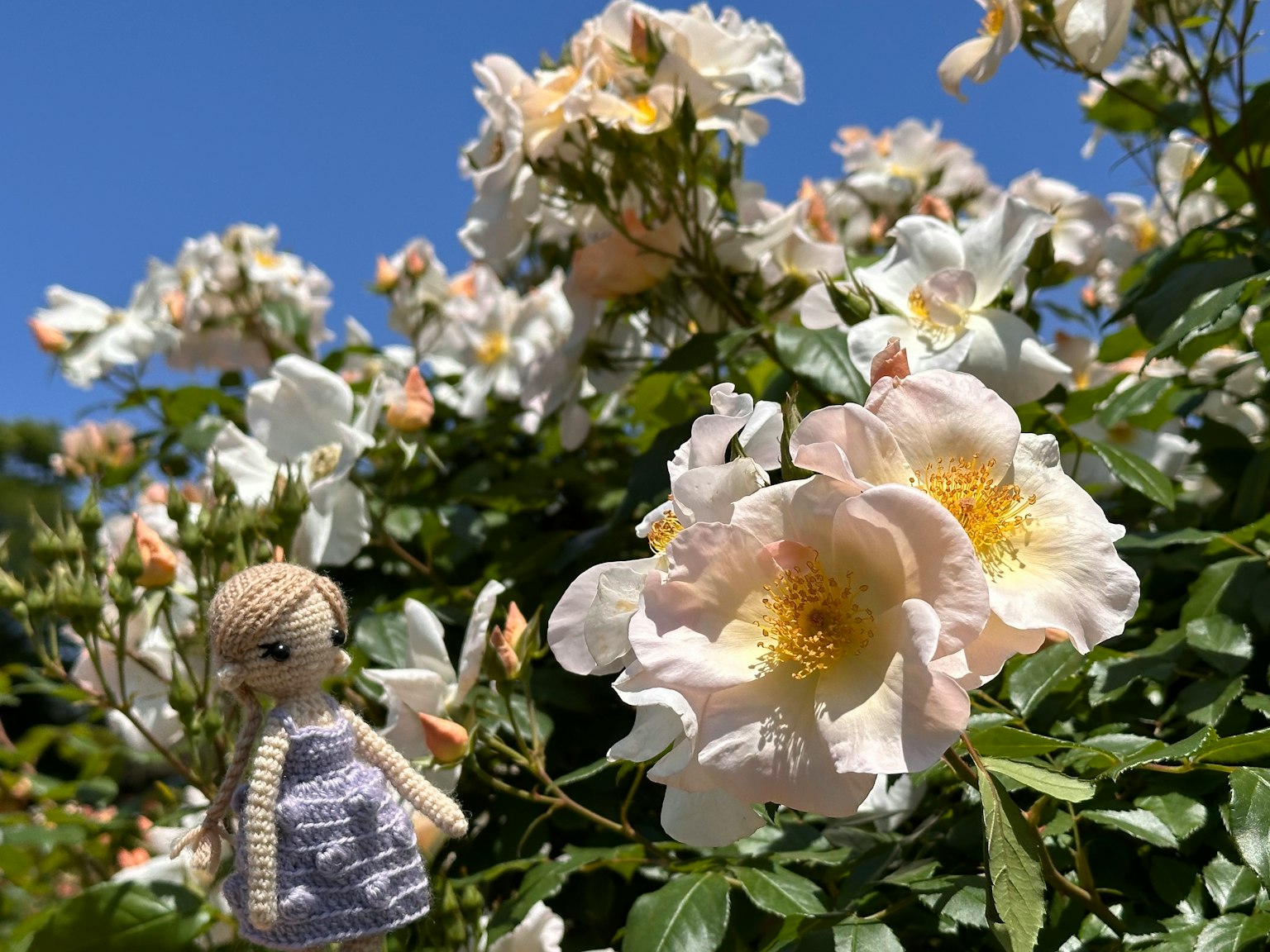Una pequeña muñeca de pie cerca de flores blancas bajo un cielo azul brillante
