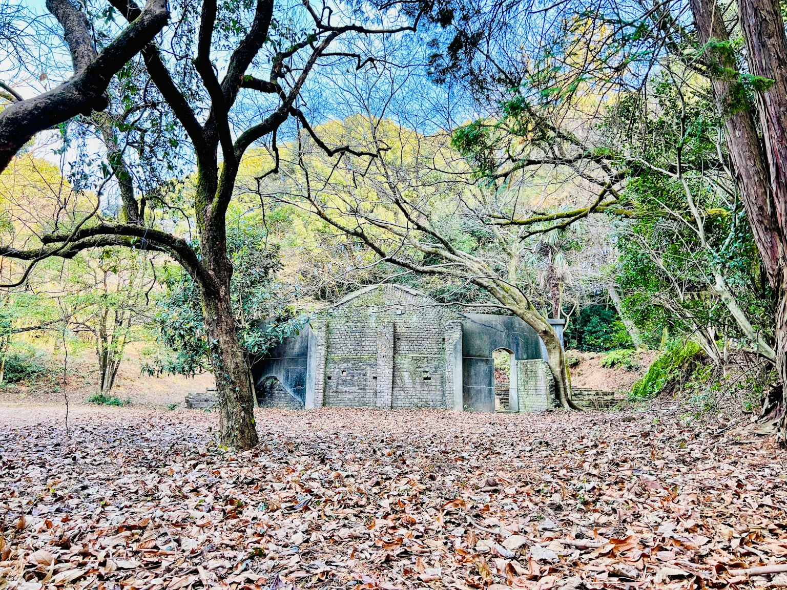 Ancien bâtiment en béton entouré par une forêt d'automne et des feuilles tombées