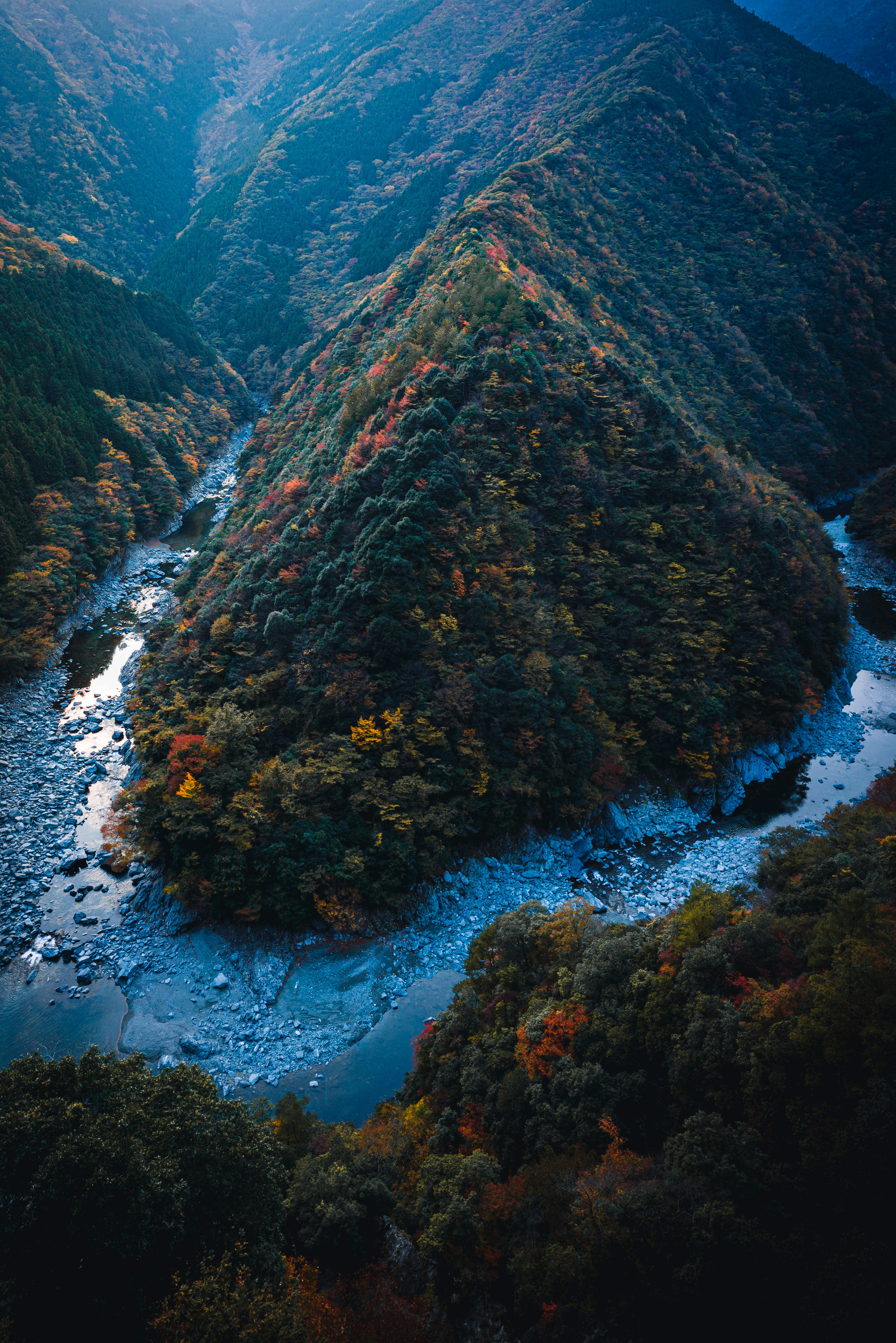 Blick auf einen mäandrierenden Fluss durch ein bewaldetes Tal
