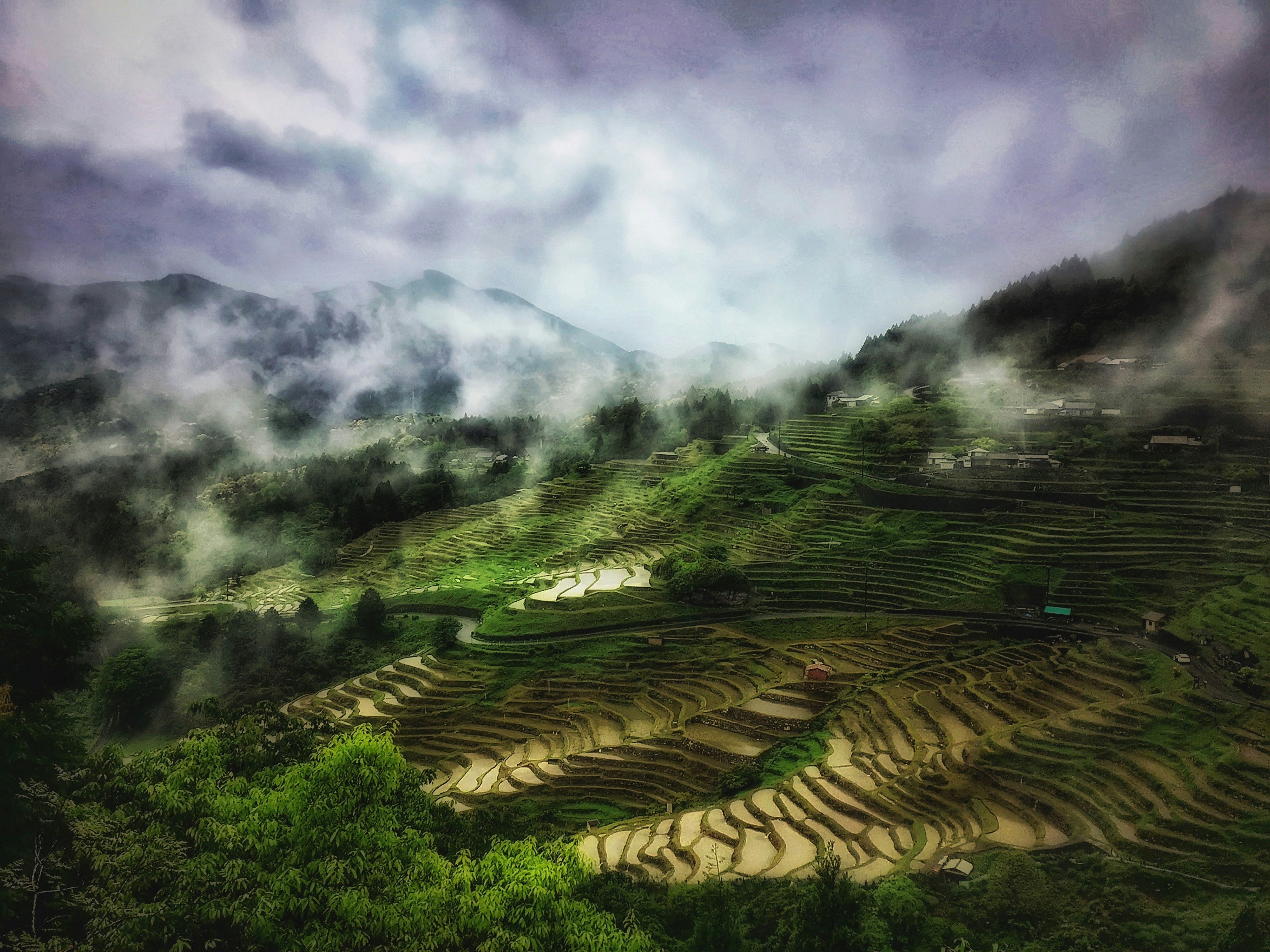 ทุ่งนาขั้นบันไดภายใต้เมฆฝน (Maruyama Senmaida เมืองคุมาโนะ จังหวัดมิเอะ)