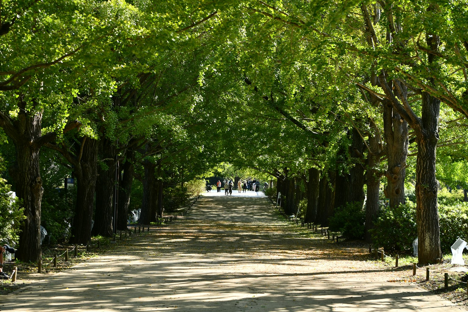 photo-mbxBRzUuKmzkRkDl0QVN-image