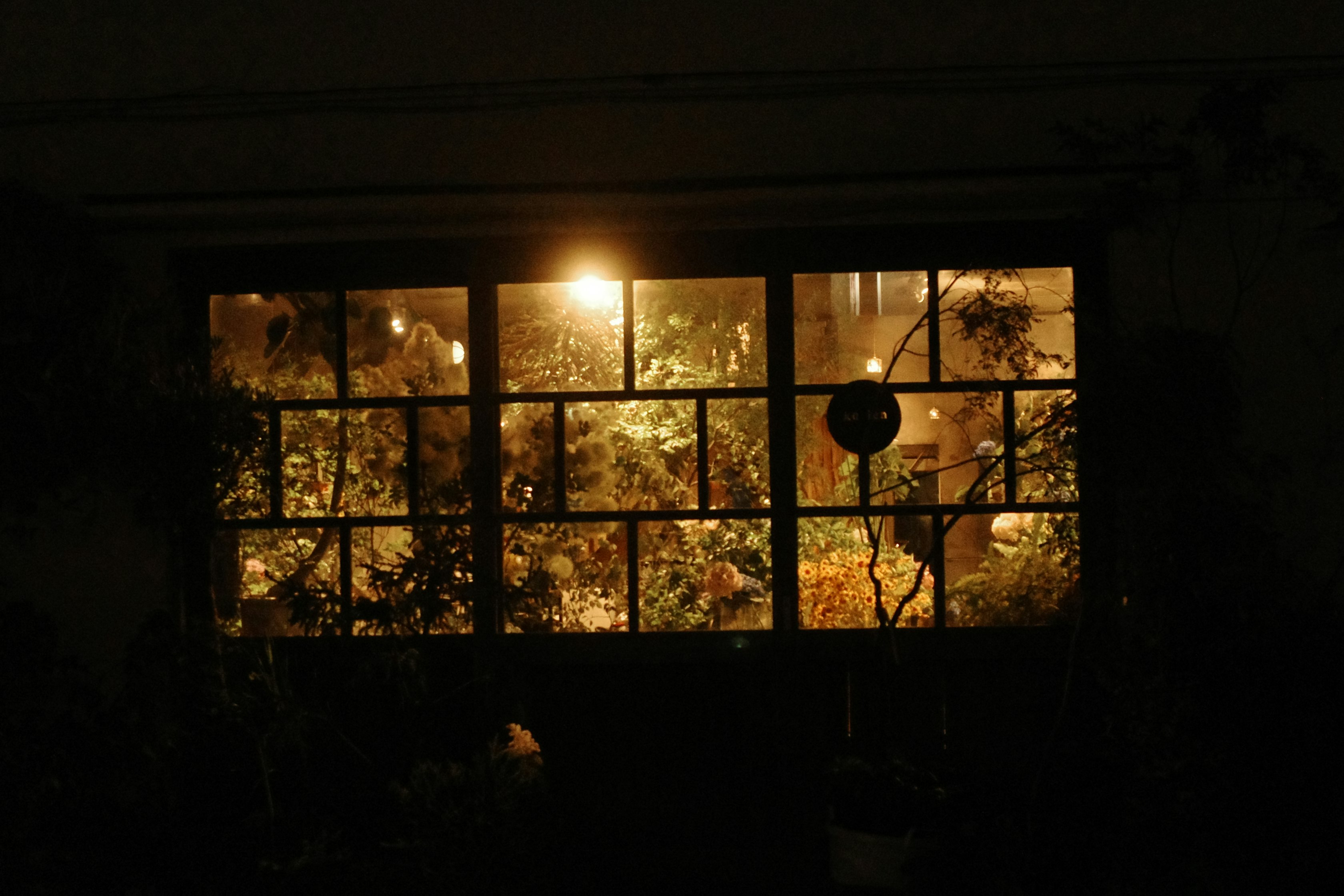 窗格外的夜色树影与路灯光晕