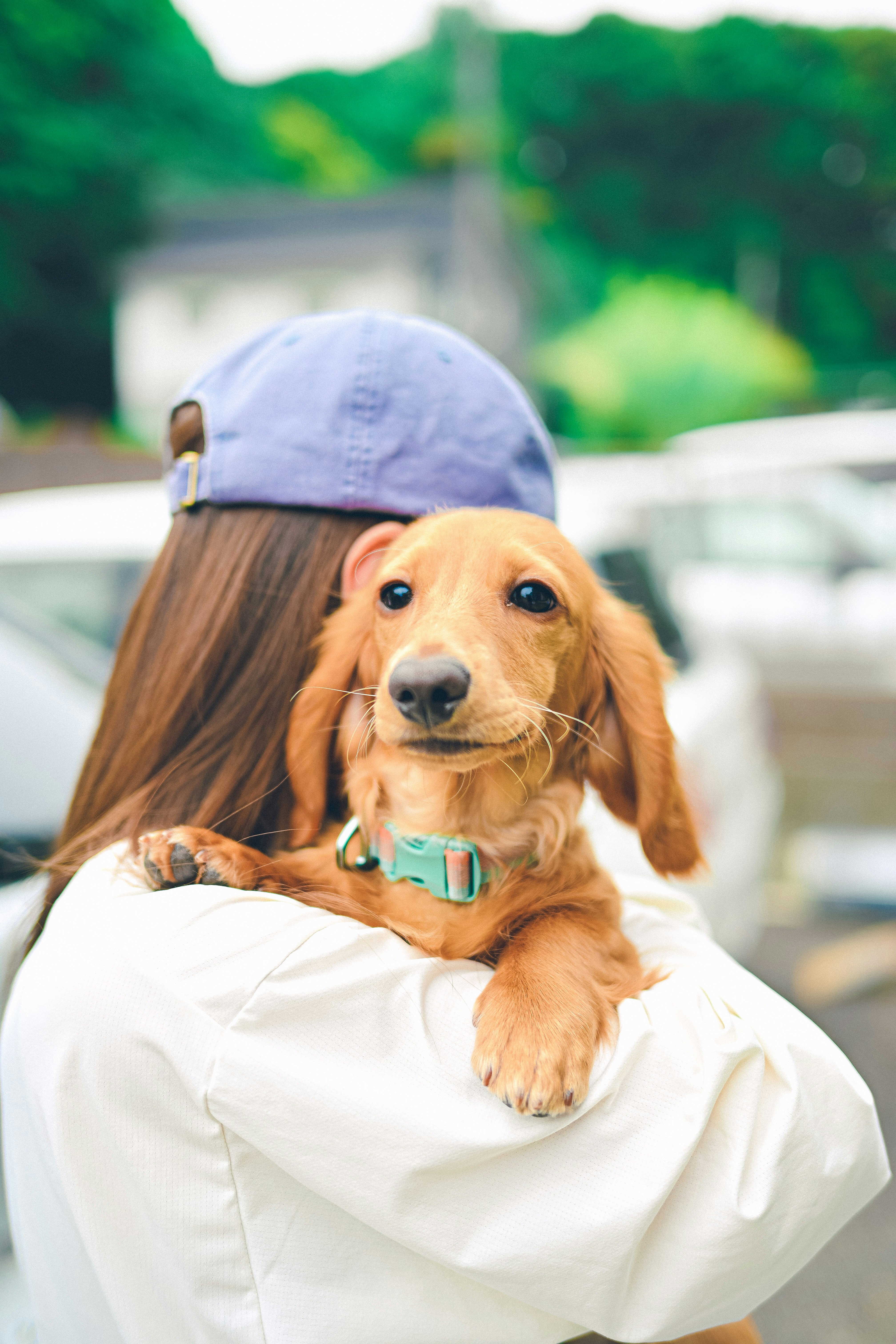 une personne qui tient un chiot au regard doux