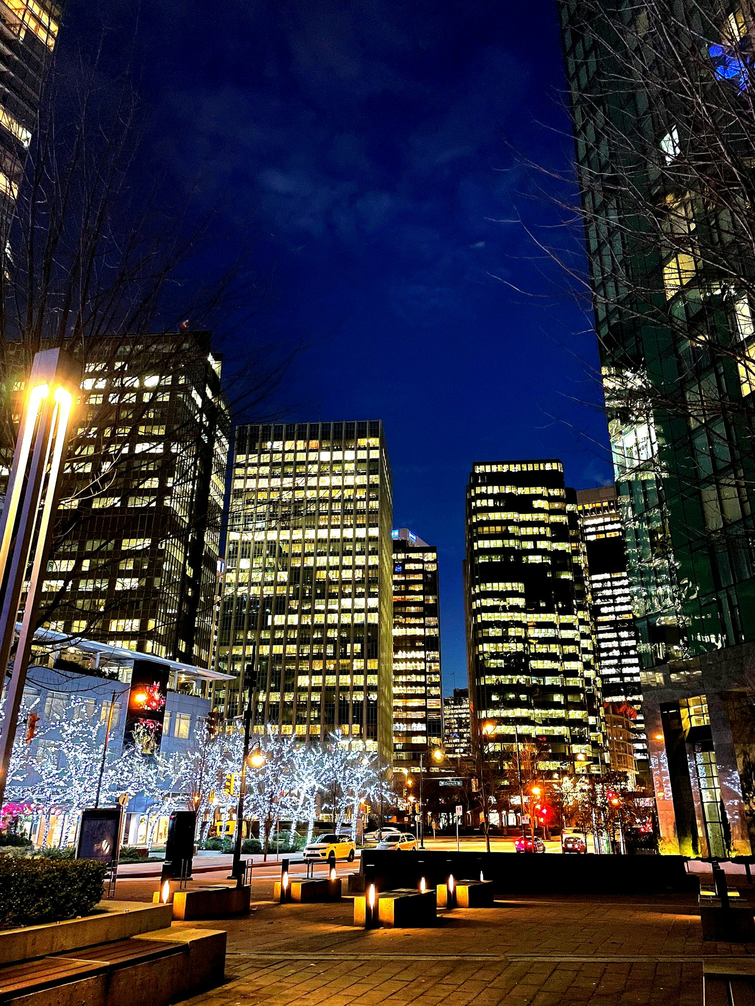 夜景都市风光 高楼大厦与灯光装饰的树木