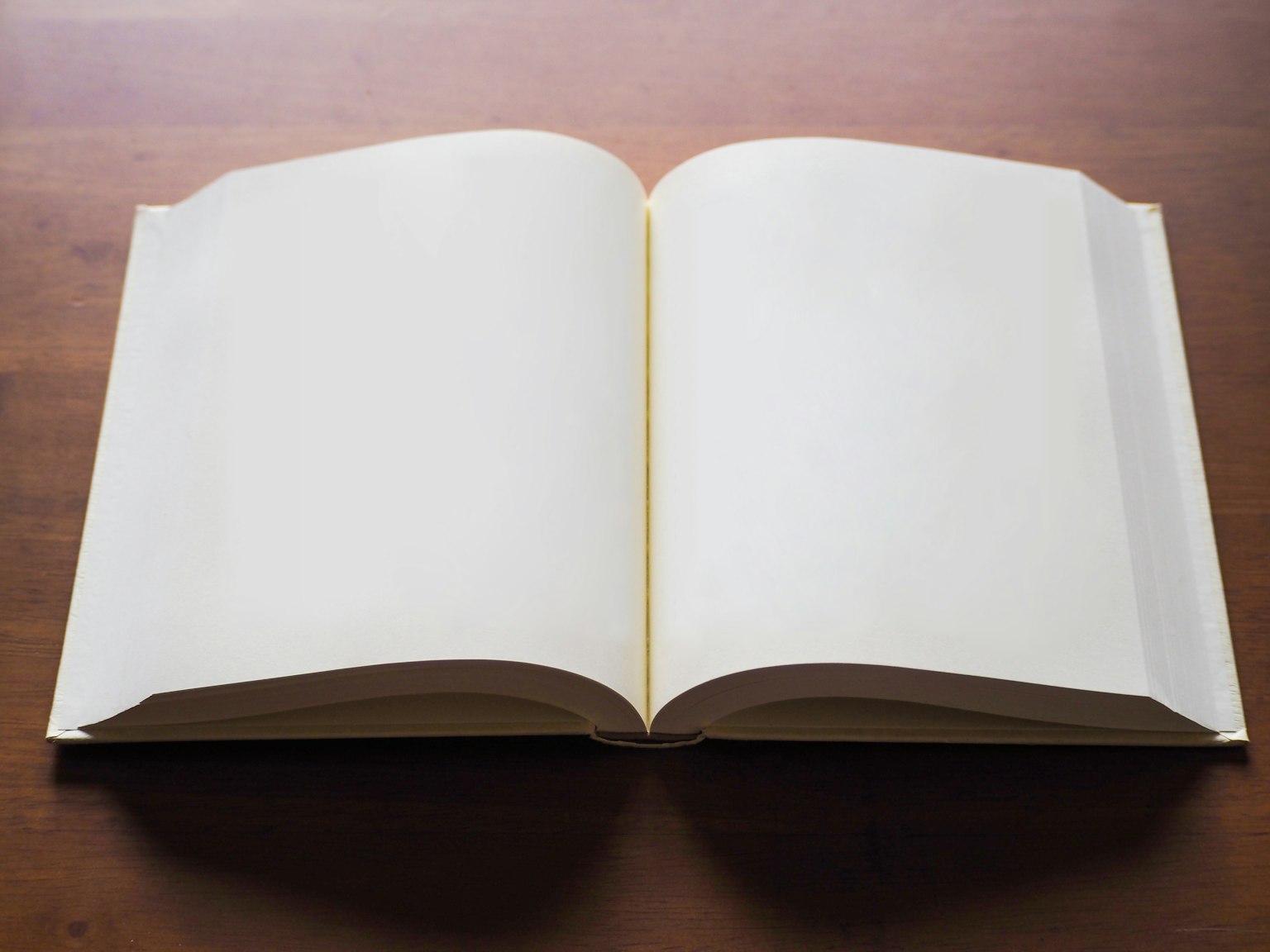 photo-mcmGqQvRXWWGwH3cPOve-image