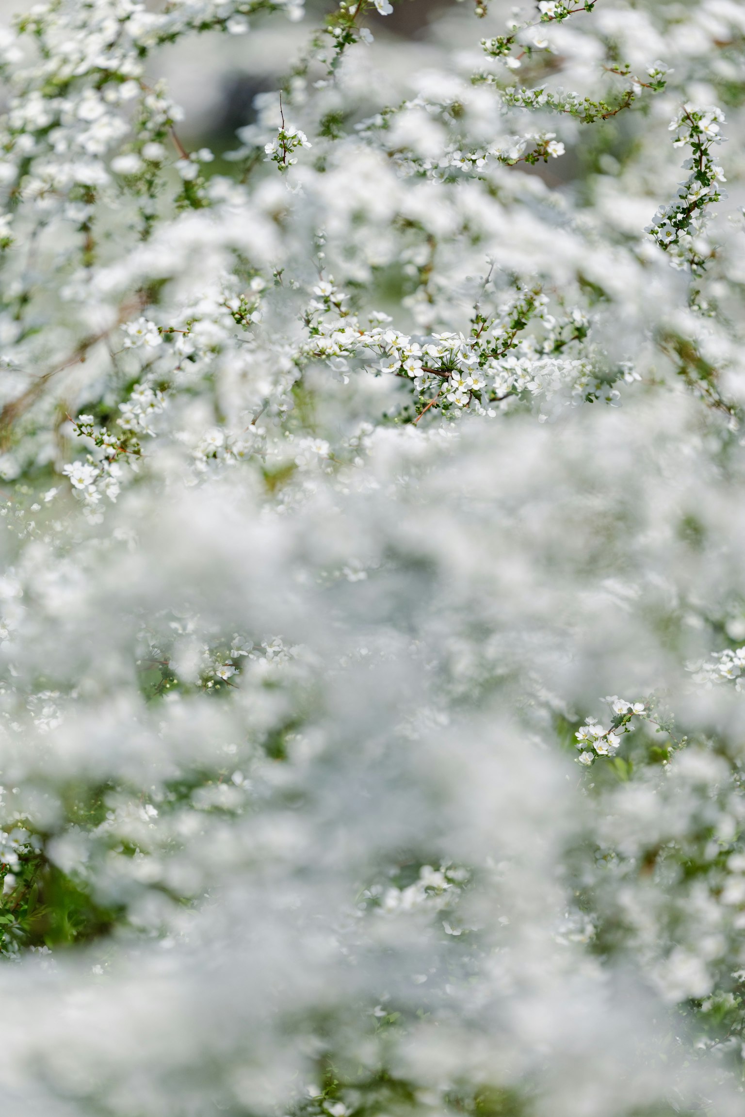 photo-md8KyGv03OL09w2NOCFC-image