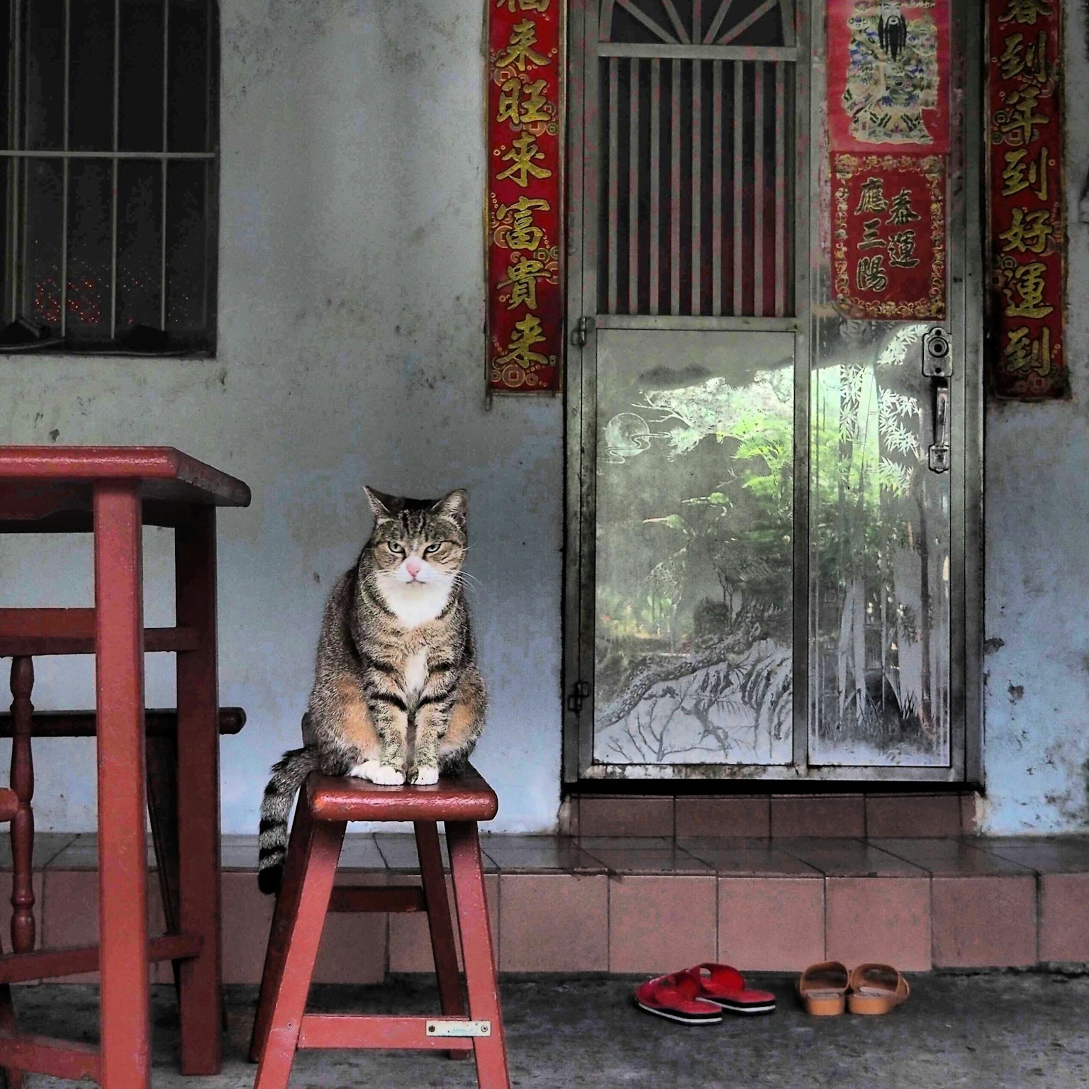Un chat assis sur un tabouret devant l'entrée d'une vieille maison
