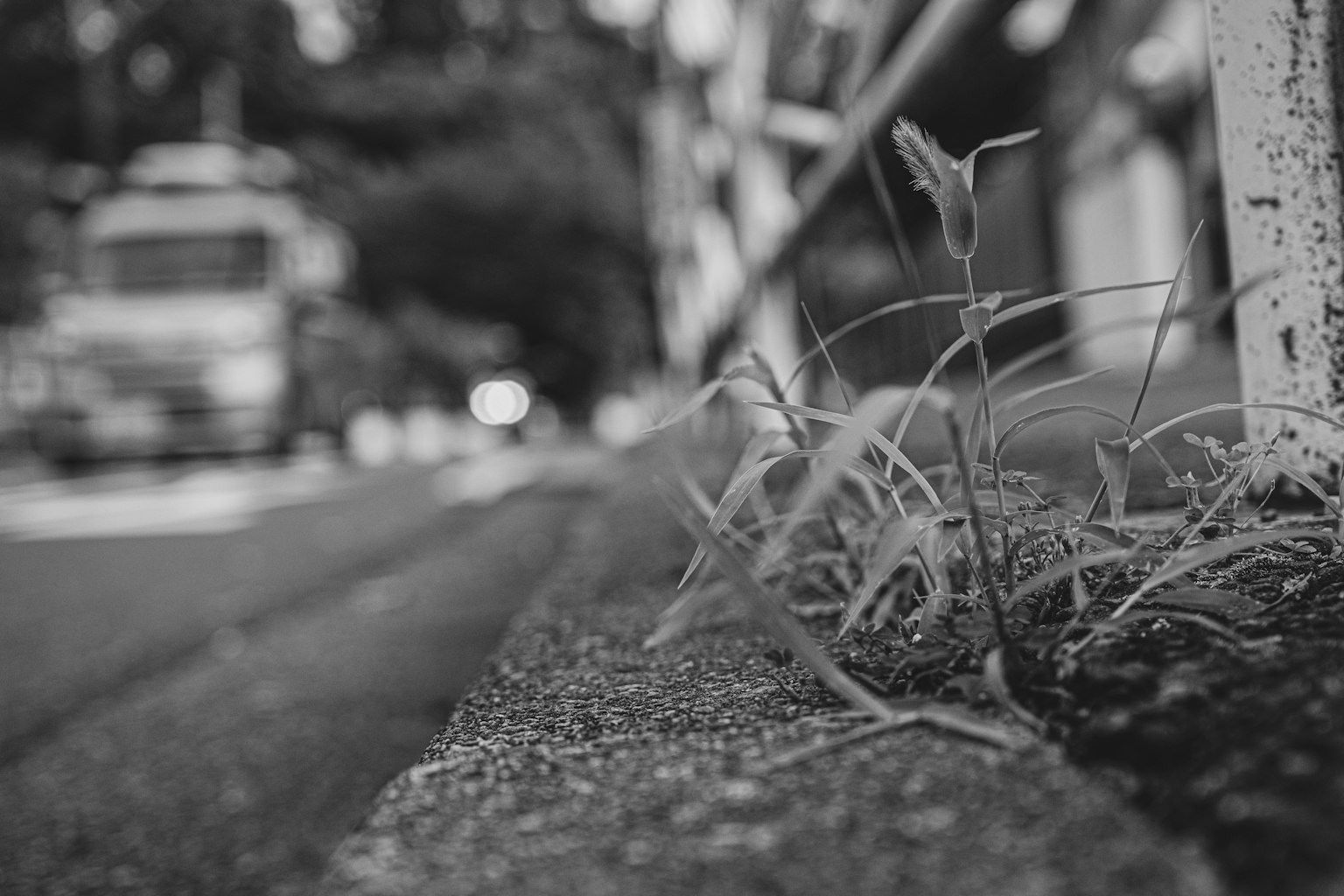 路邊生長的草和模糊的車輛背景
