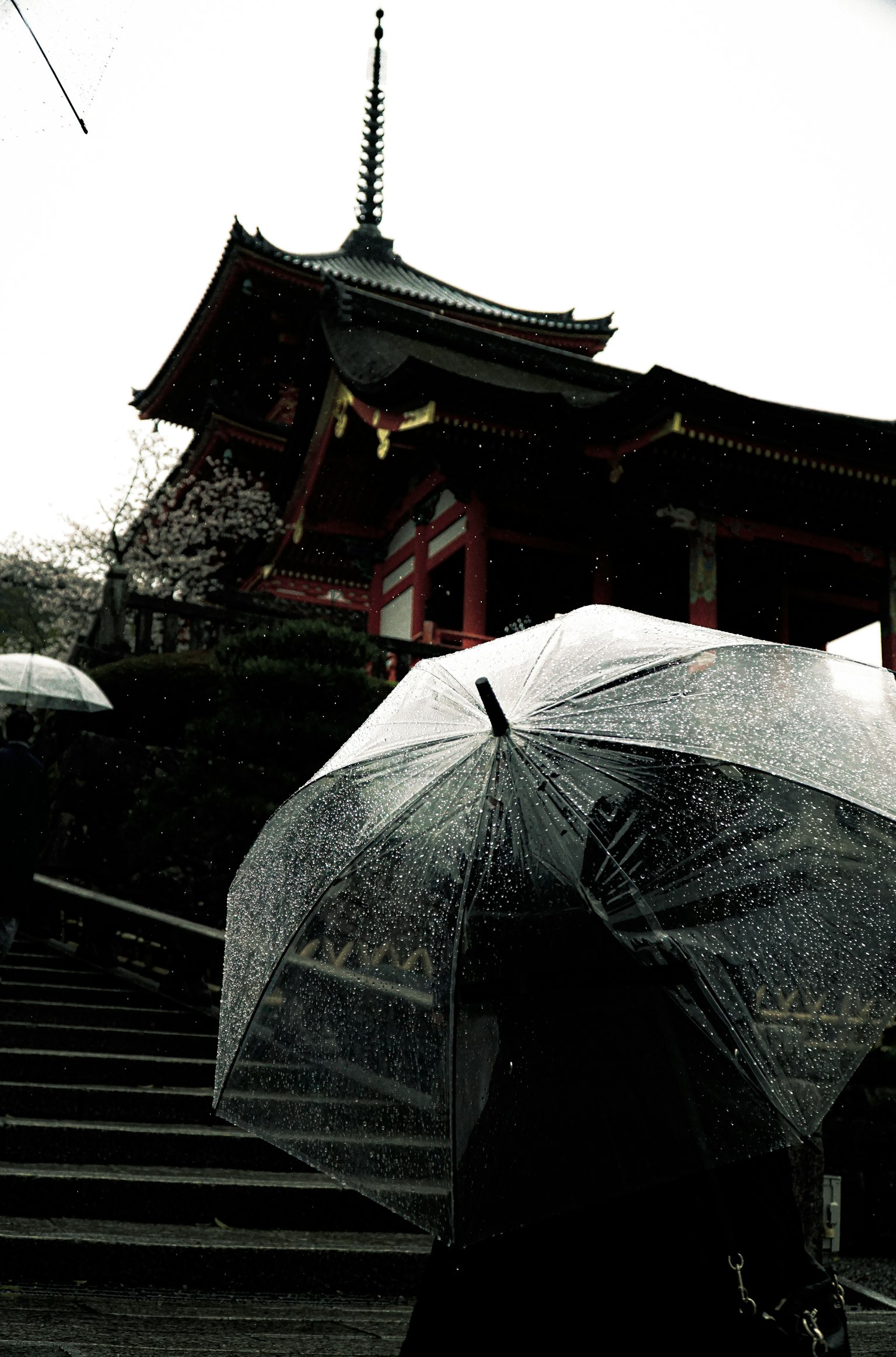 Person holding an umbrella with a temple in the background during rain