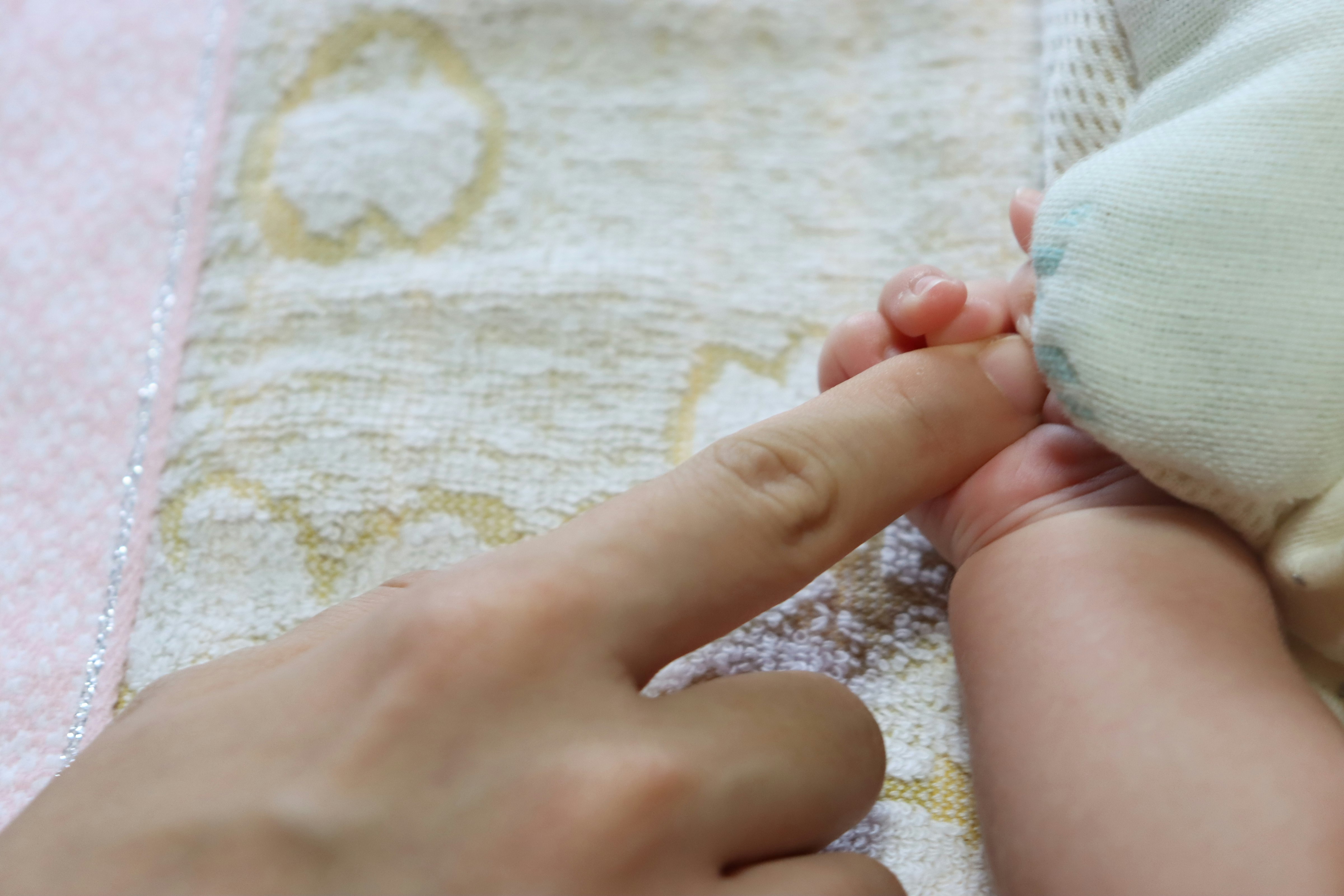 手をつないで寄り添う親子のふれあい
