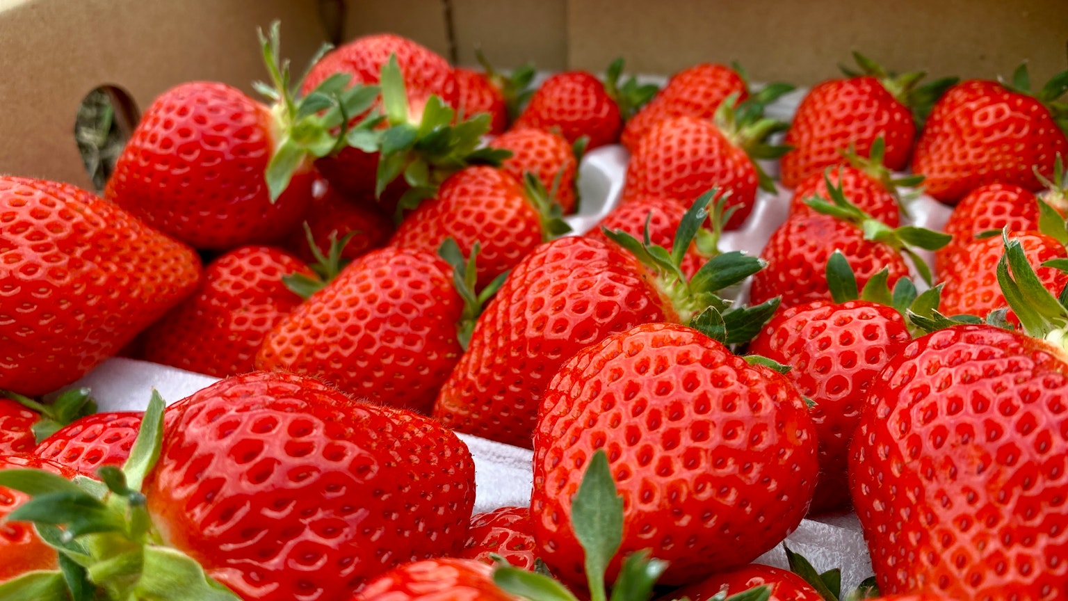 Frische Erdbeeren in einer Kiste verpackt