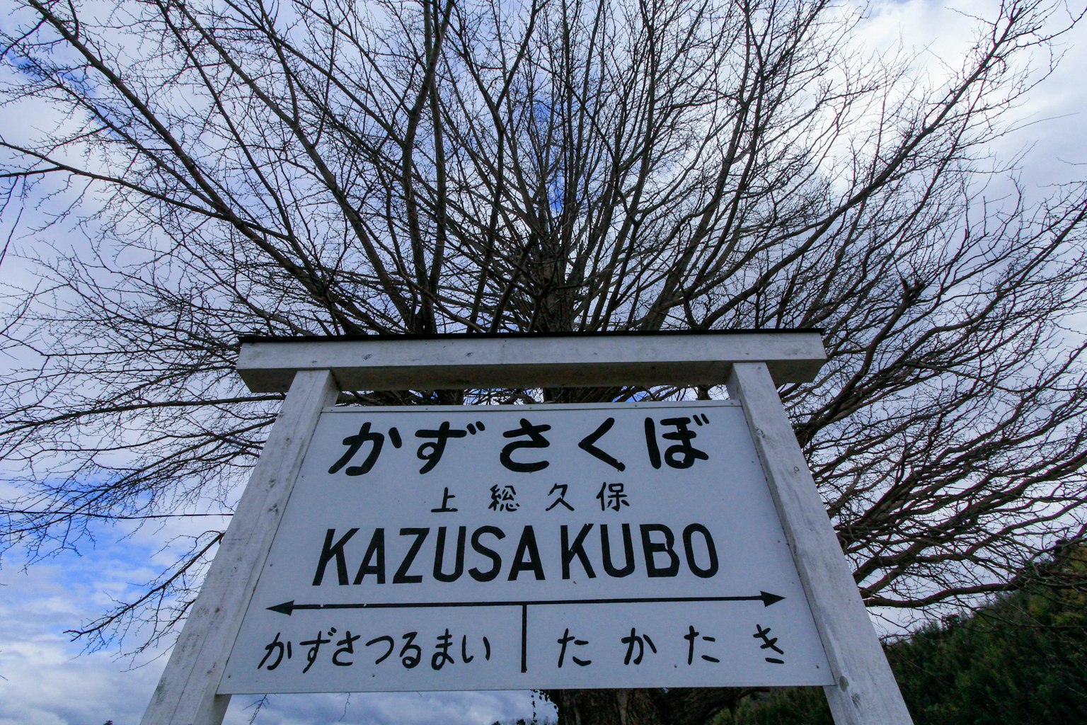 Segnale per Kazusa Kubo con un albero spoglio sullo sfondo