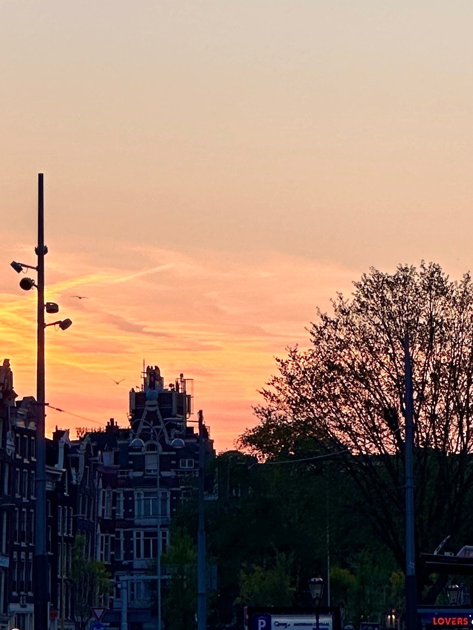 Phong cảnh đường phố Amsterdam lúc hoàng hôn với hàng cây dọc đường