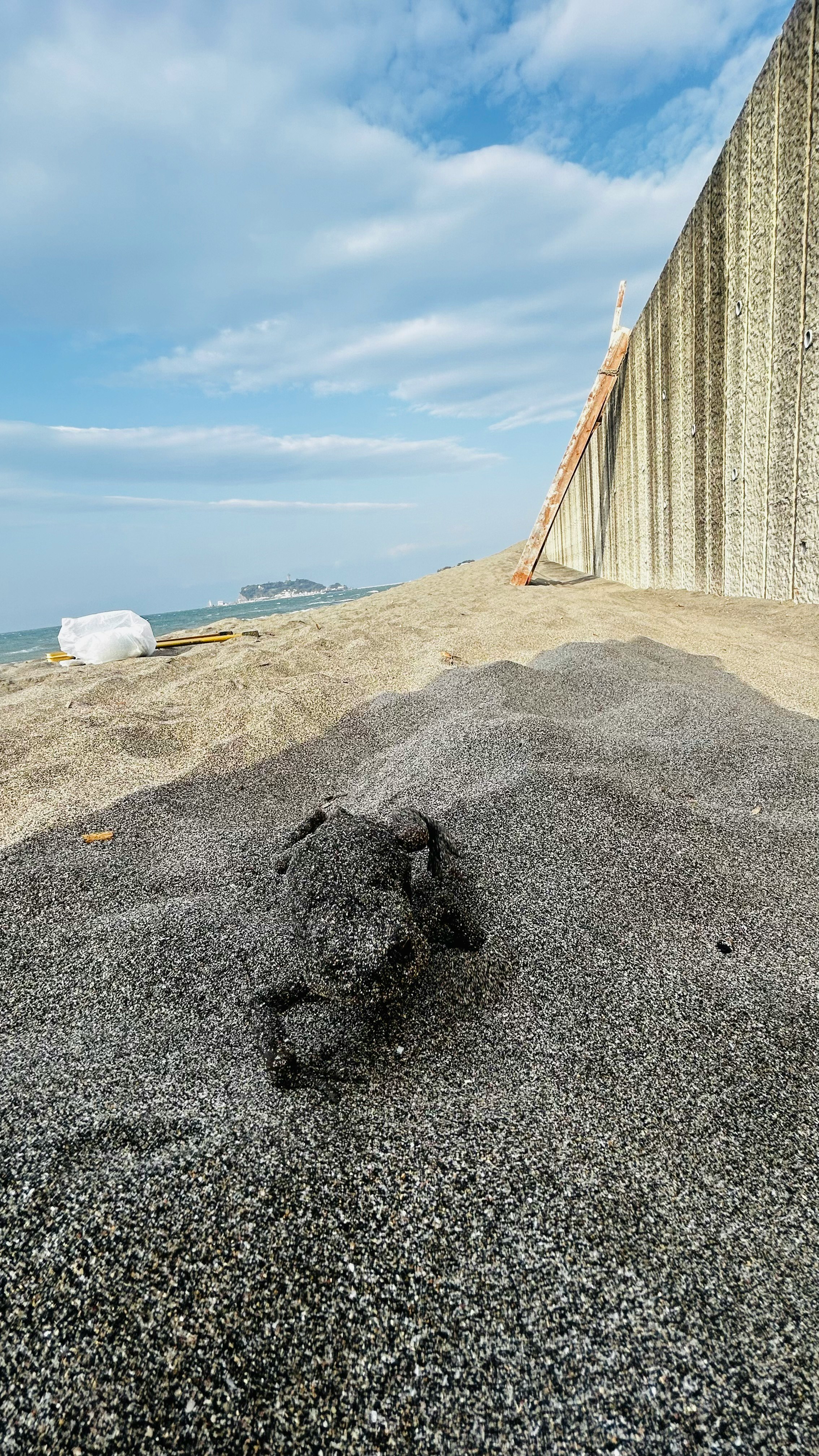 pantai berpasir di tepi laut dan tanggul beton