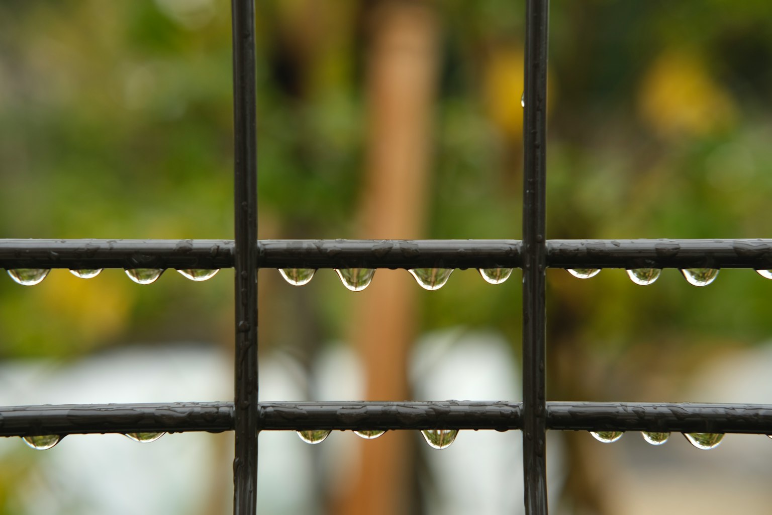 Gocce d'acqua su una recinzione nera con sfondo verde sfocato