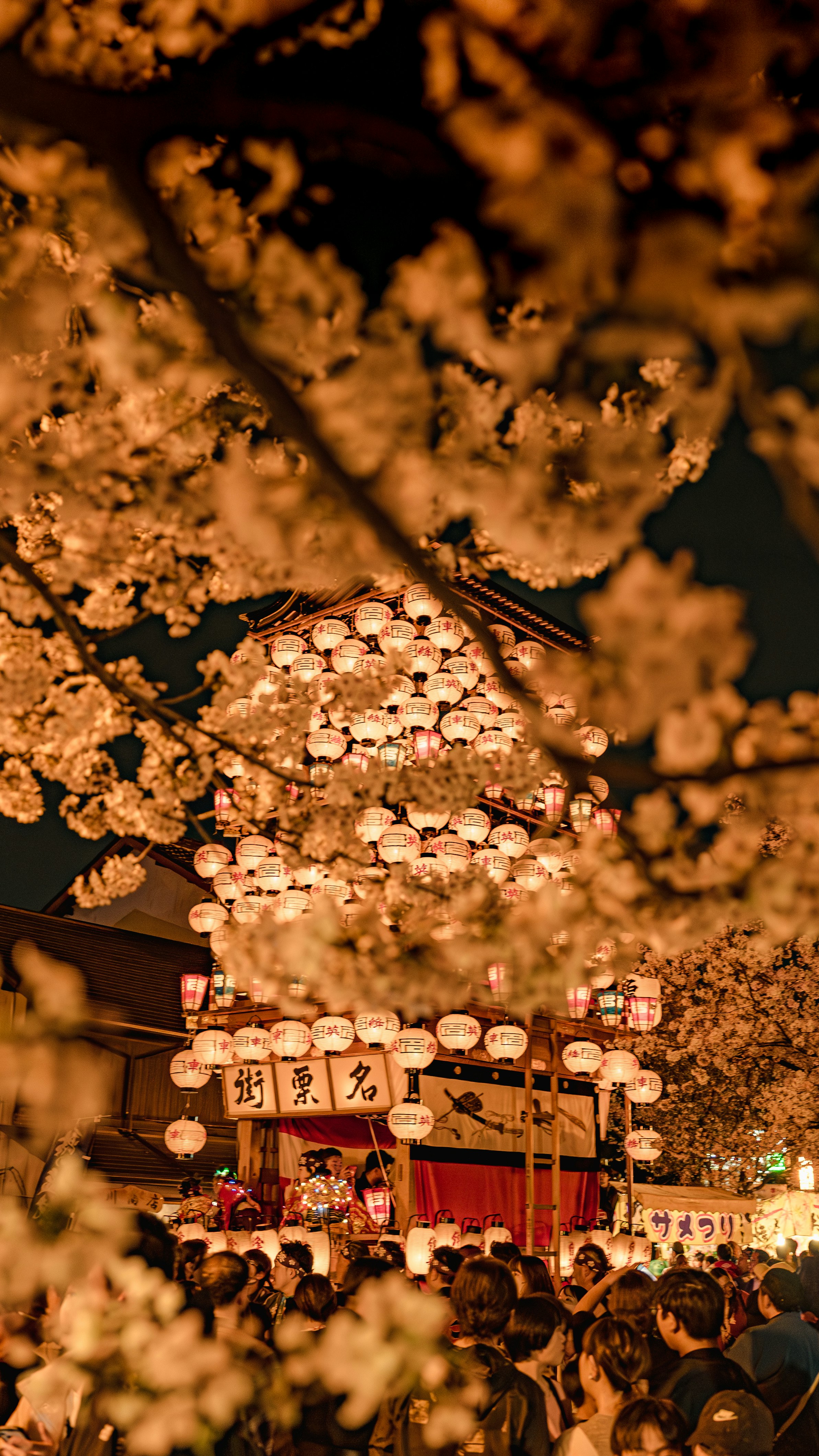 桜の枝越しに提灯が並ぶ夜の屋台通り