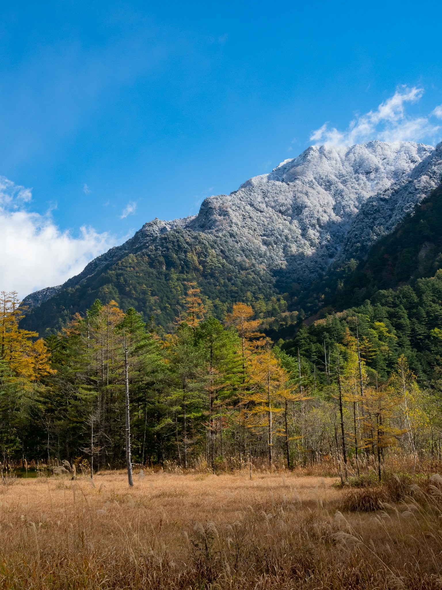 Panoramablick auf Berge und blauen Himmel mit schönen Herbstfarben