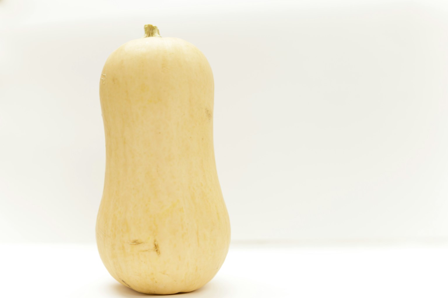 Una zucca gialla in piedi su uno sfondo bianco