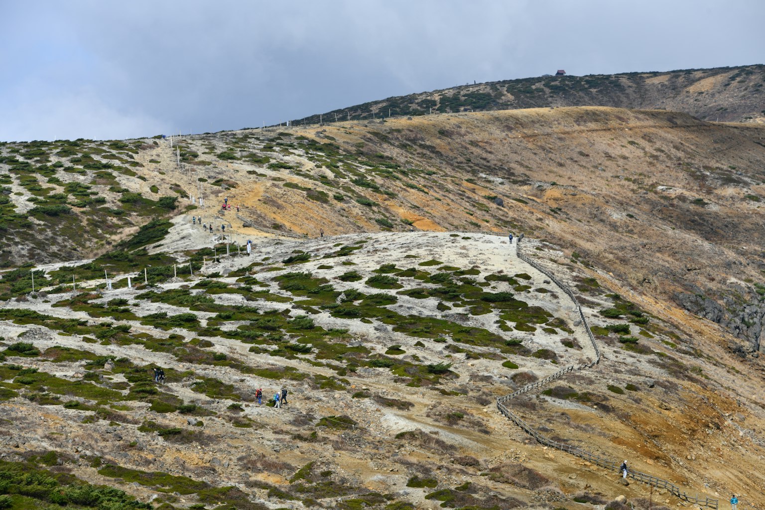Trockene Neigung mit grüner Vegetation und felsigem Gelände