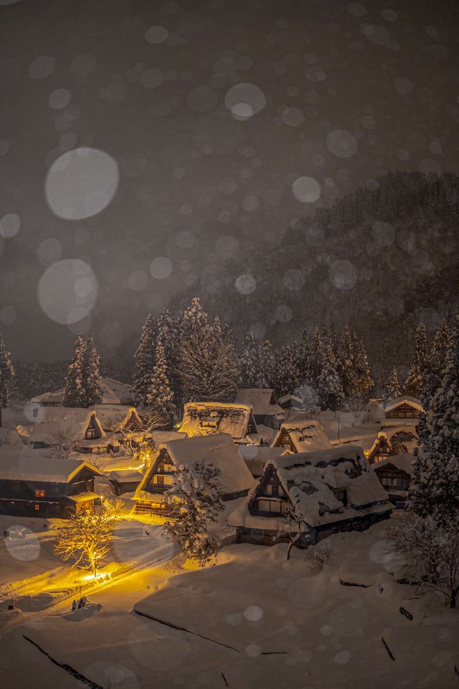 photo-mjFhHGd1udKkuZt9aPMt-image