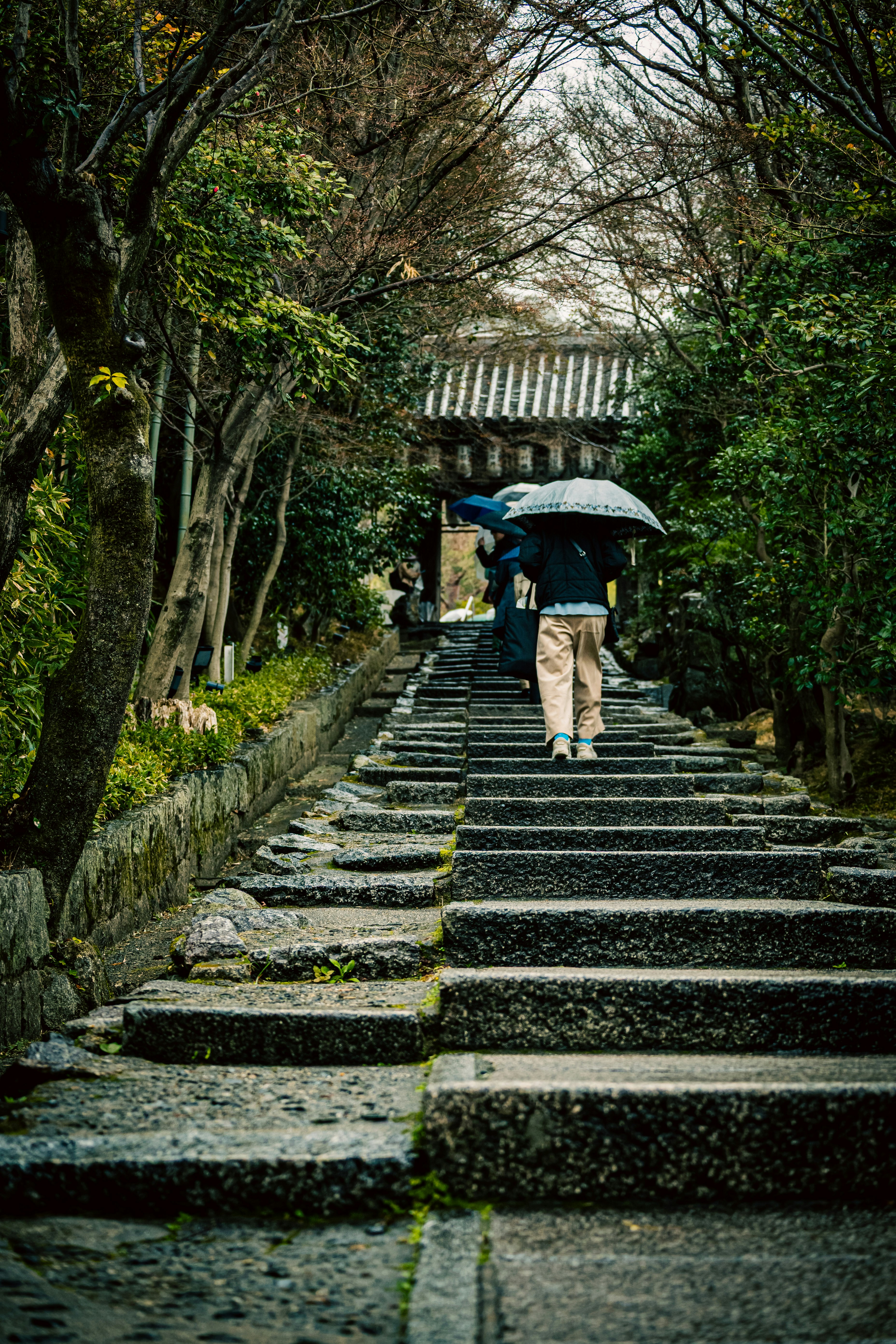 雨の石段を歩く人と傘のある庭園