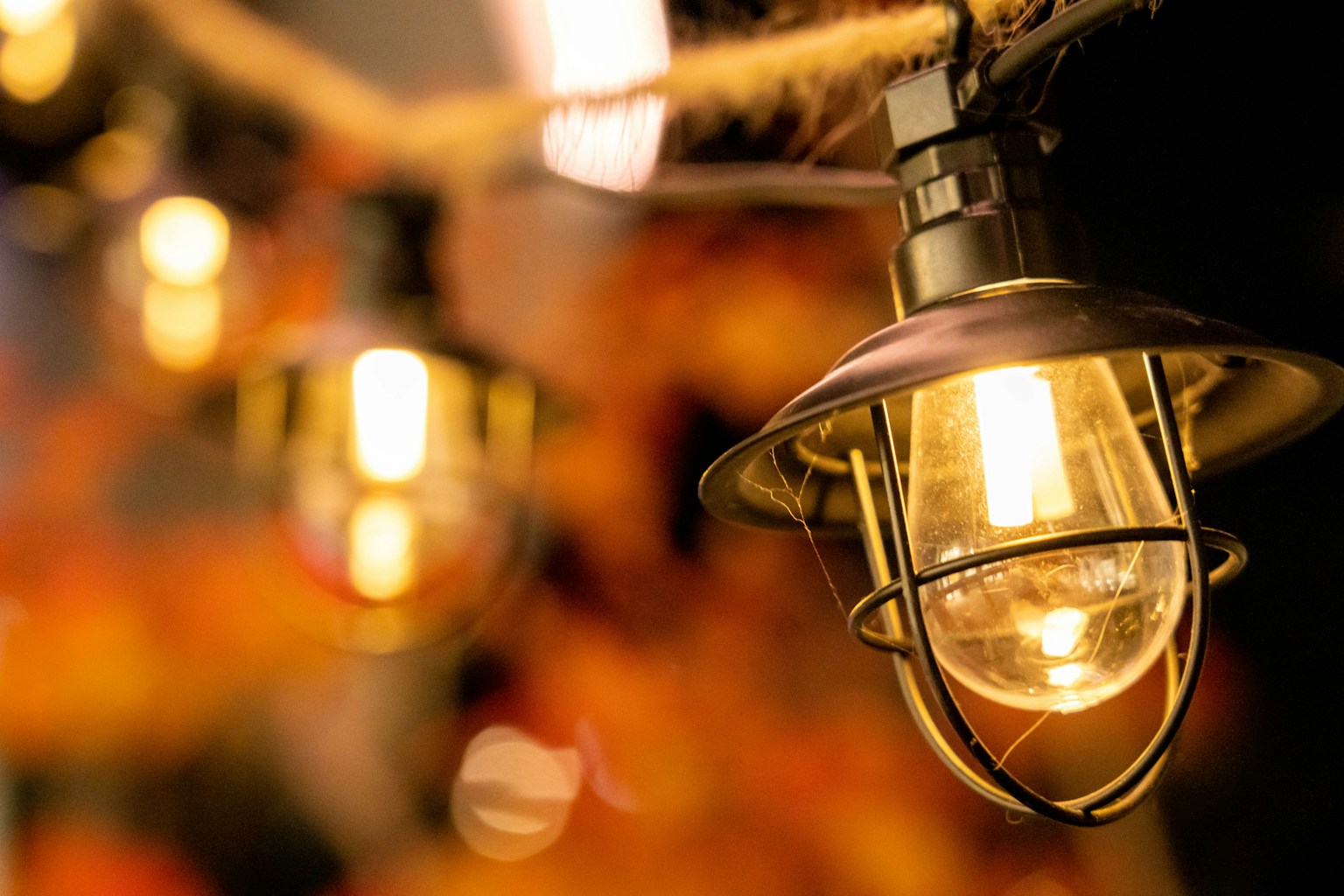 photo-mjizyWBZ4Ip6ZGTamkPa-image