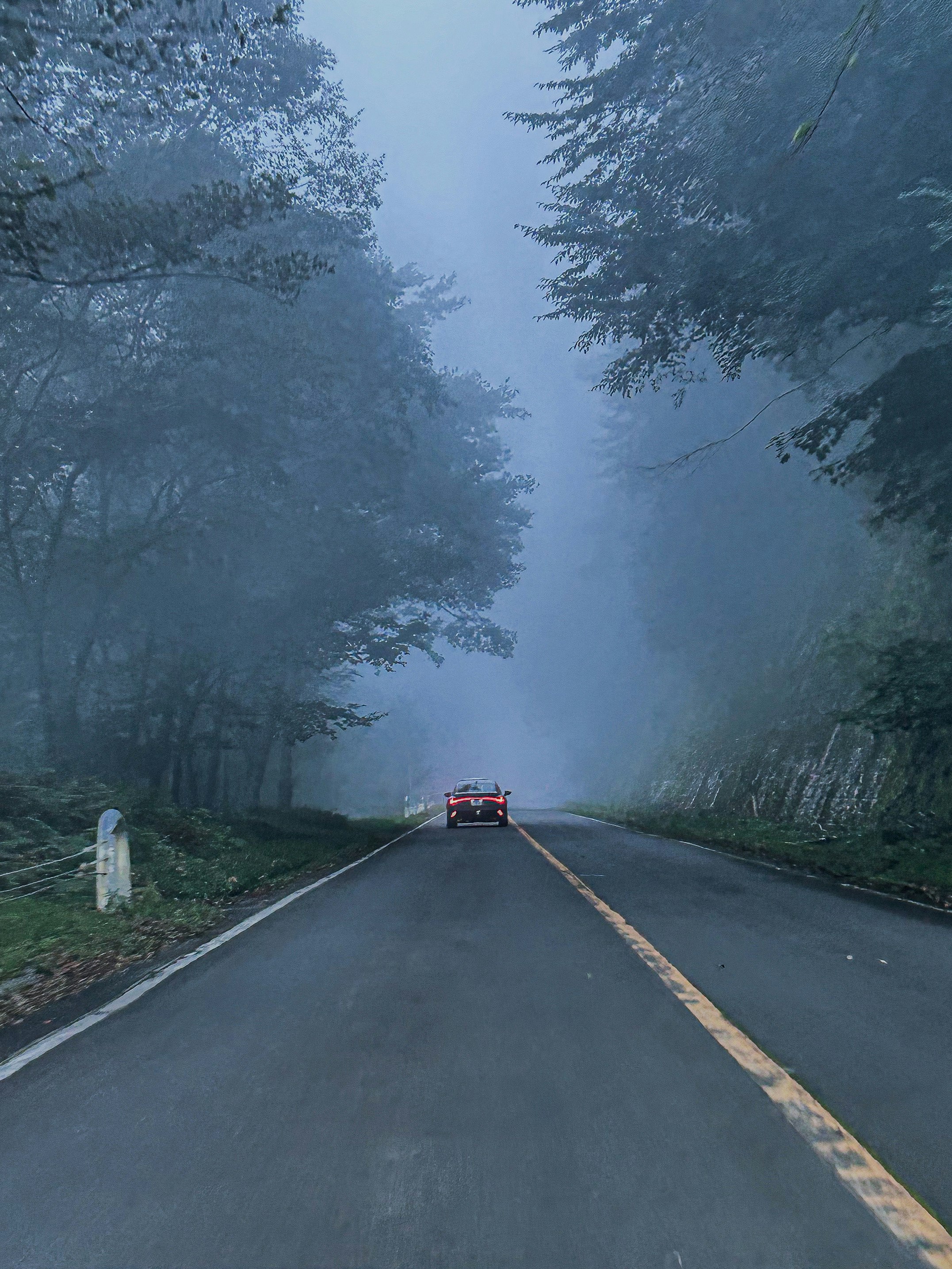 霧のかかった山道を走る車