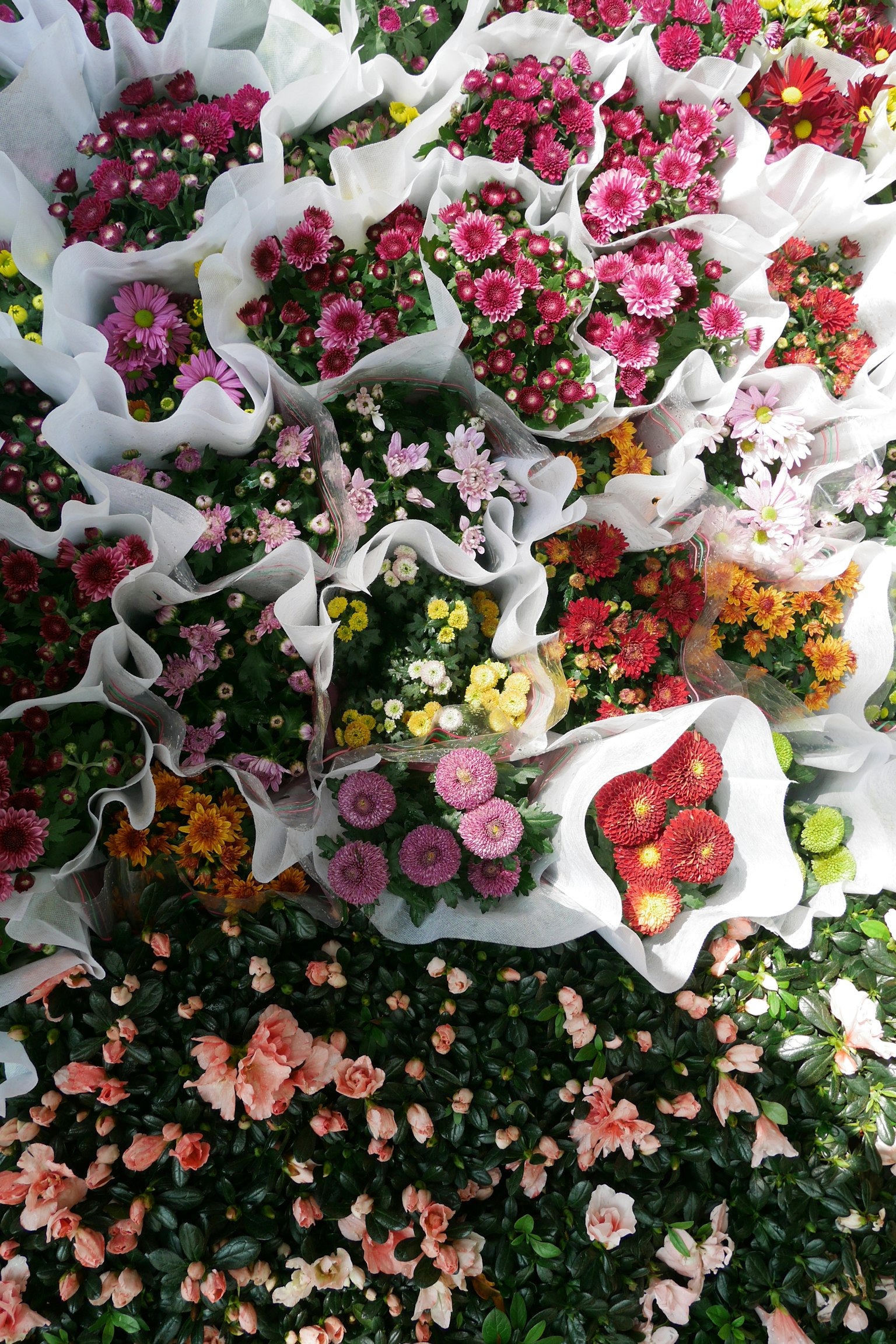 A collection of colorful flower bouquets wrapped in white paper