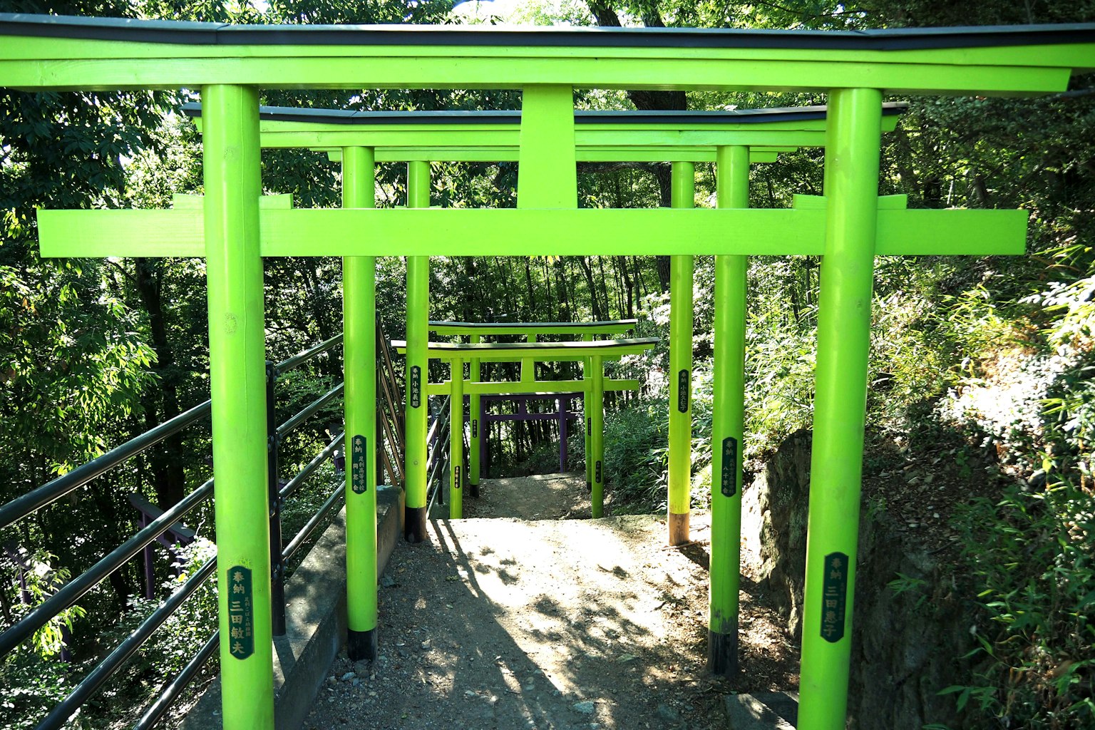 Con đường có cổng torii màu xanh lá cây rực rỡ