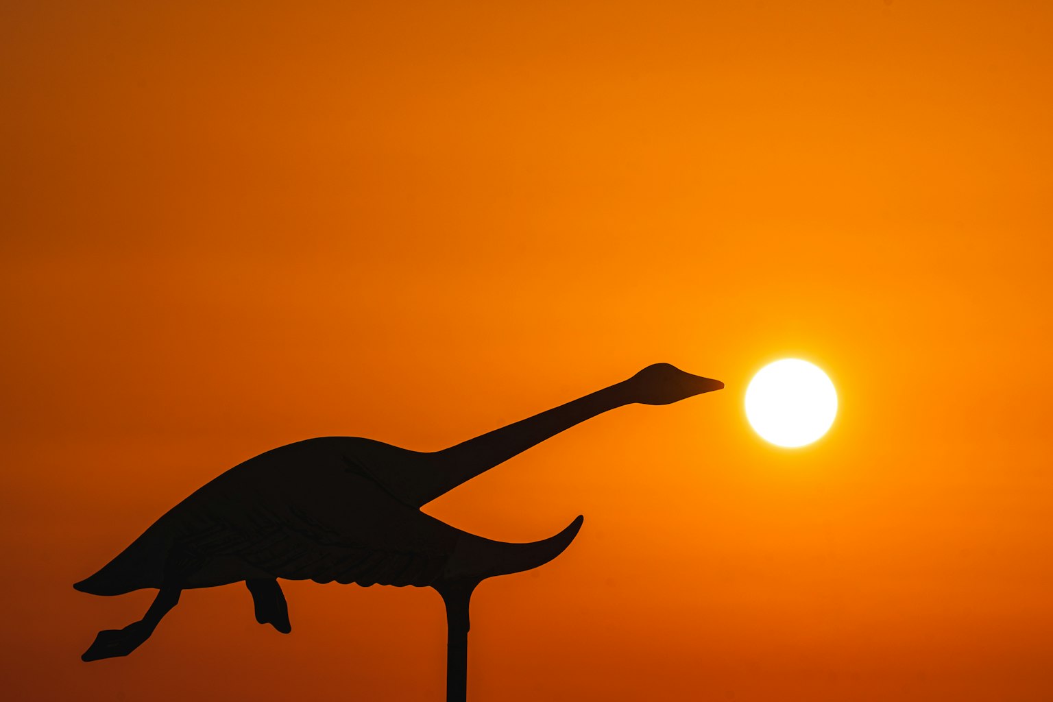 Silhouette eines Dinosauriers vor einem Sonnenuntergang
