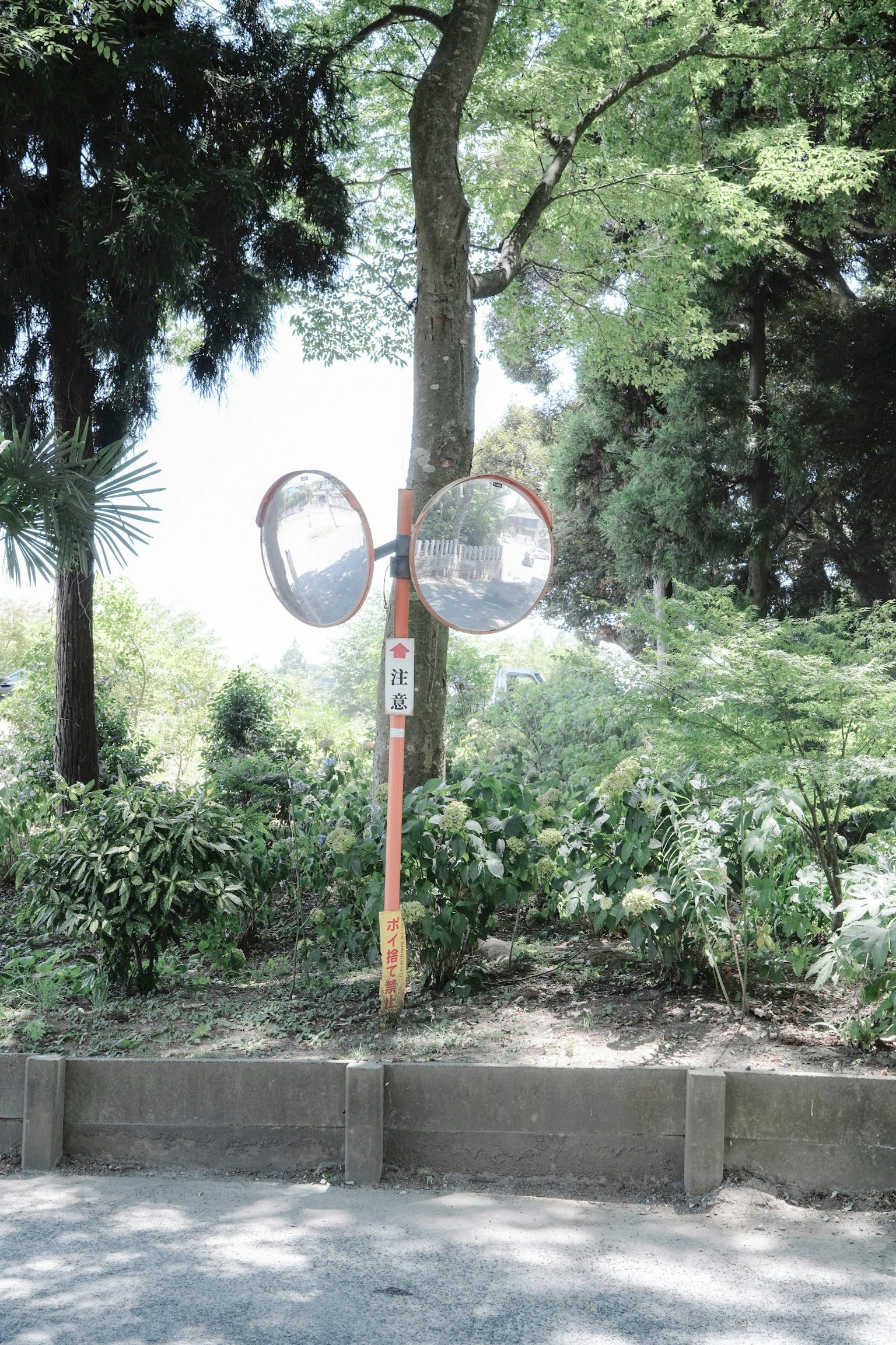 A unique structure with two mirrors in a park setting