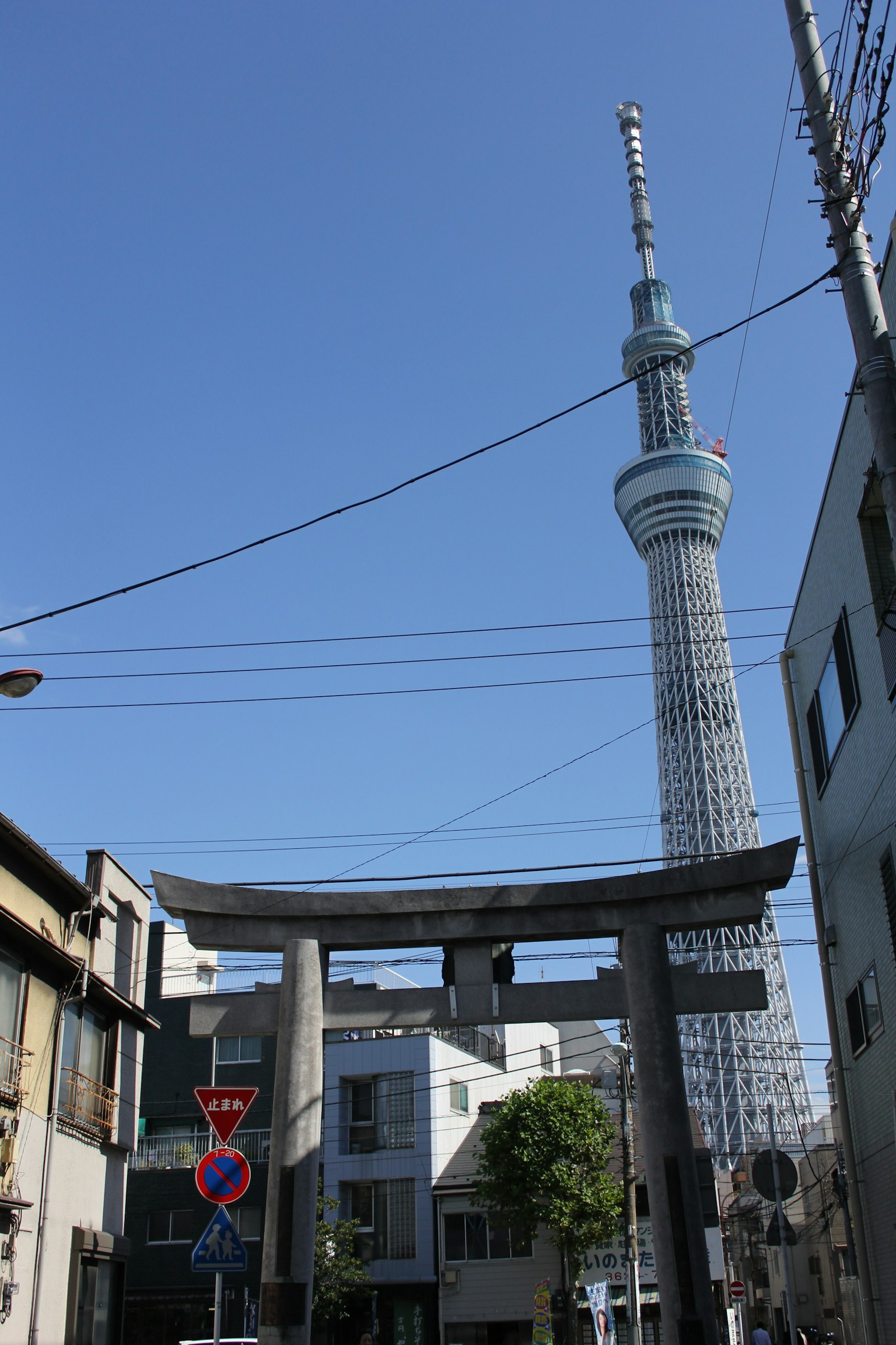 東京晴空下的東京塔和鳥居
