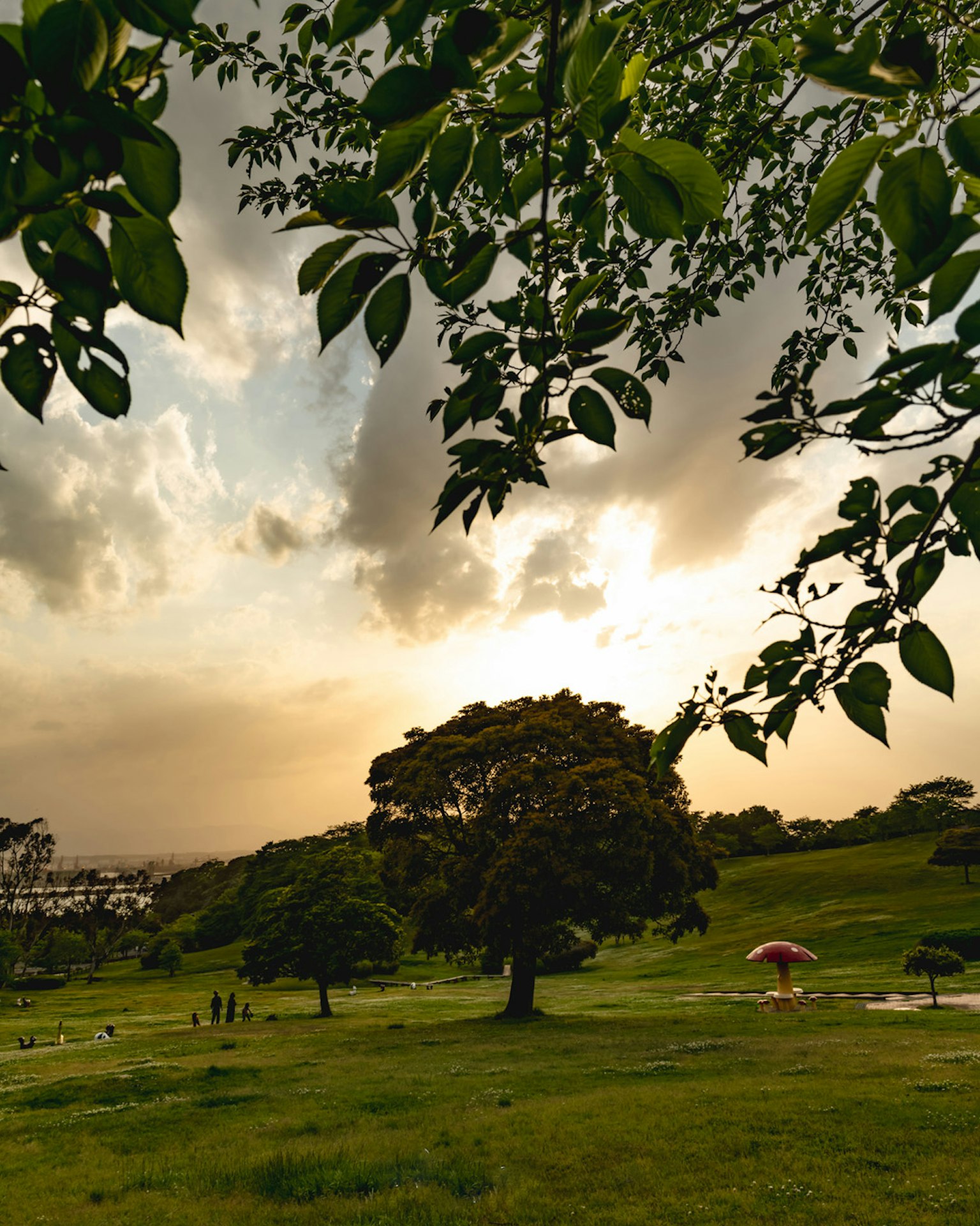 A scenic view of a lush green meadow with a large tree during sunset