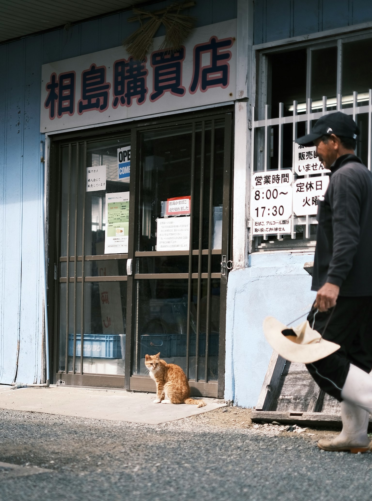 A cat sitting in front of a store with a sign in Japanese