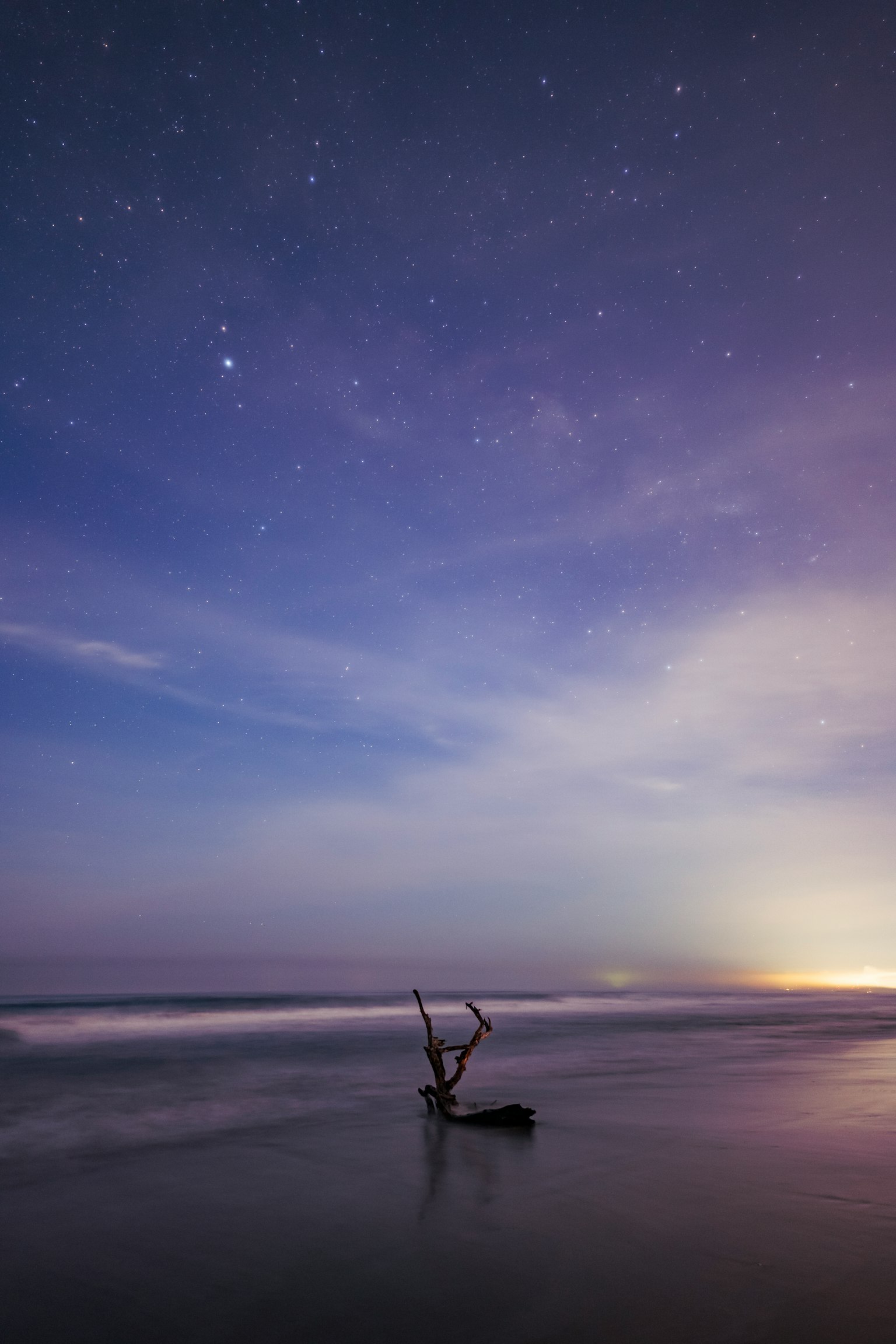 海岸日落，星空和漂流木